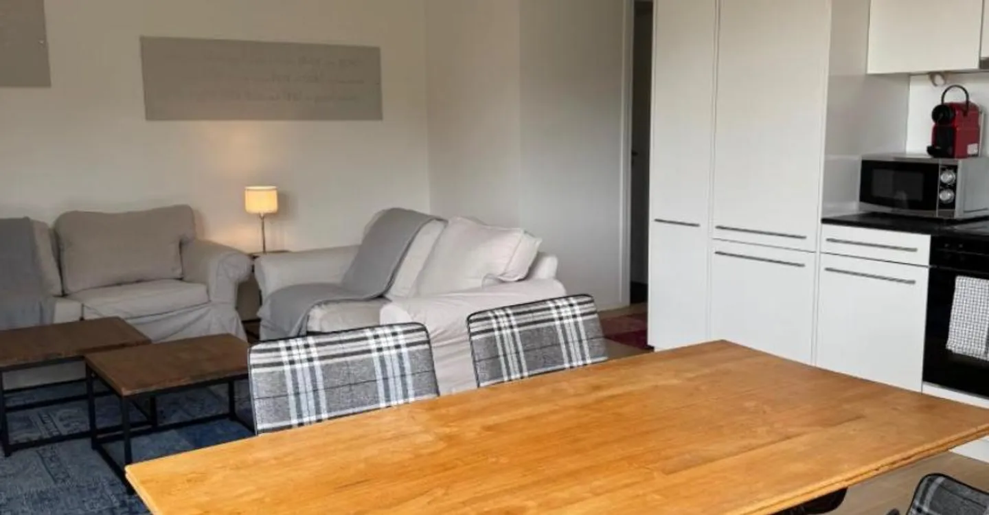 Modern Apartment with Terrace - Photo 4 of 11