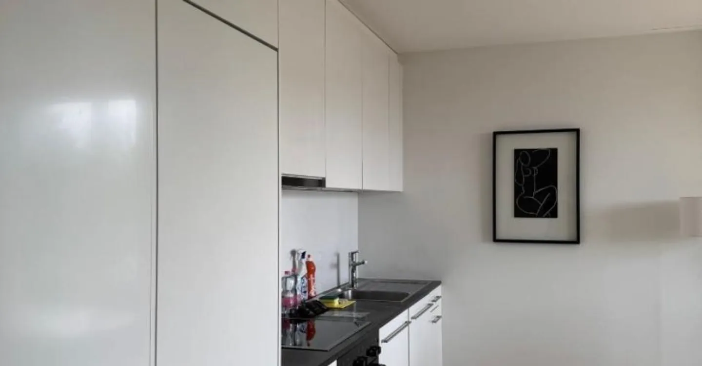 Modern Apartment with Terrace - Photo 5 of 11