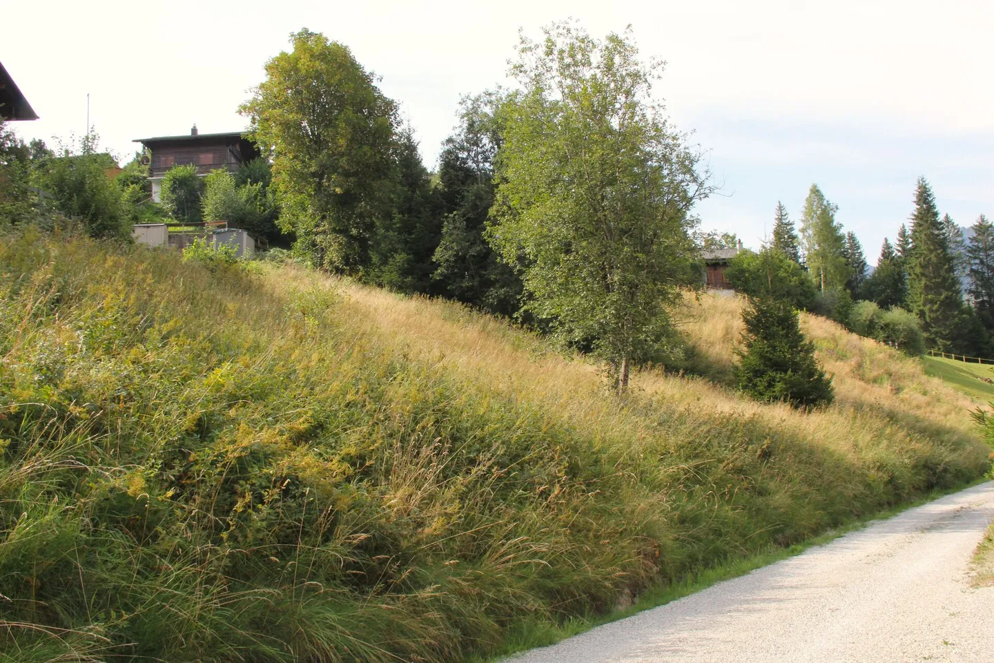 Attractive chalet in elevated location in Plaffeien, Schwarzsee FR - Photo 5 of 10