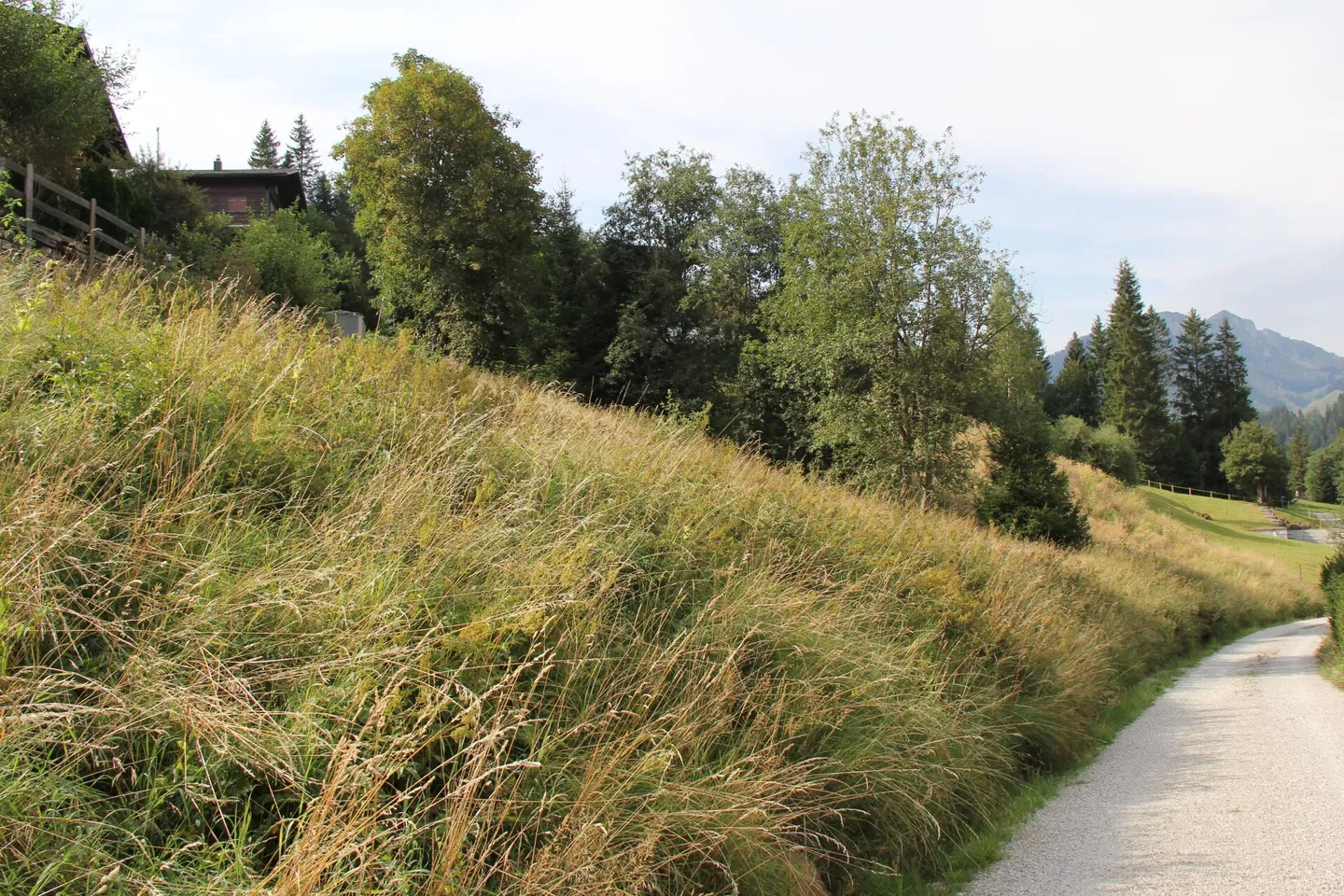 Attractive chalet in elevated location in Plaffeien, Schwarzsee FR - Photo 7 of 10