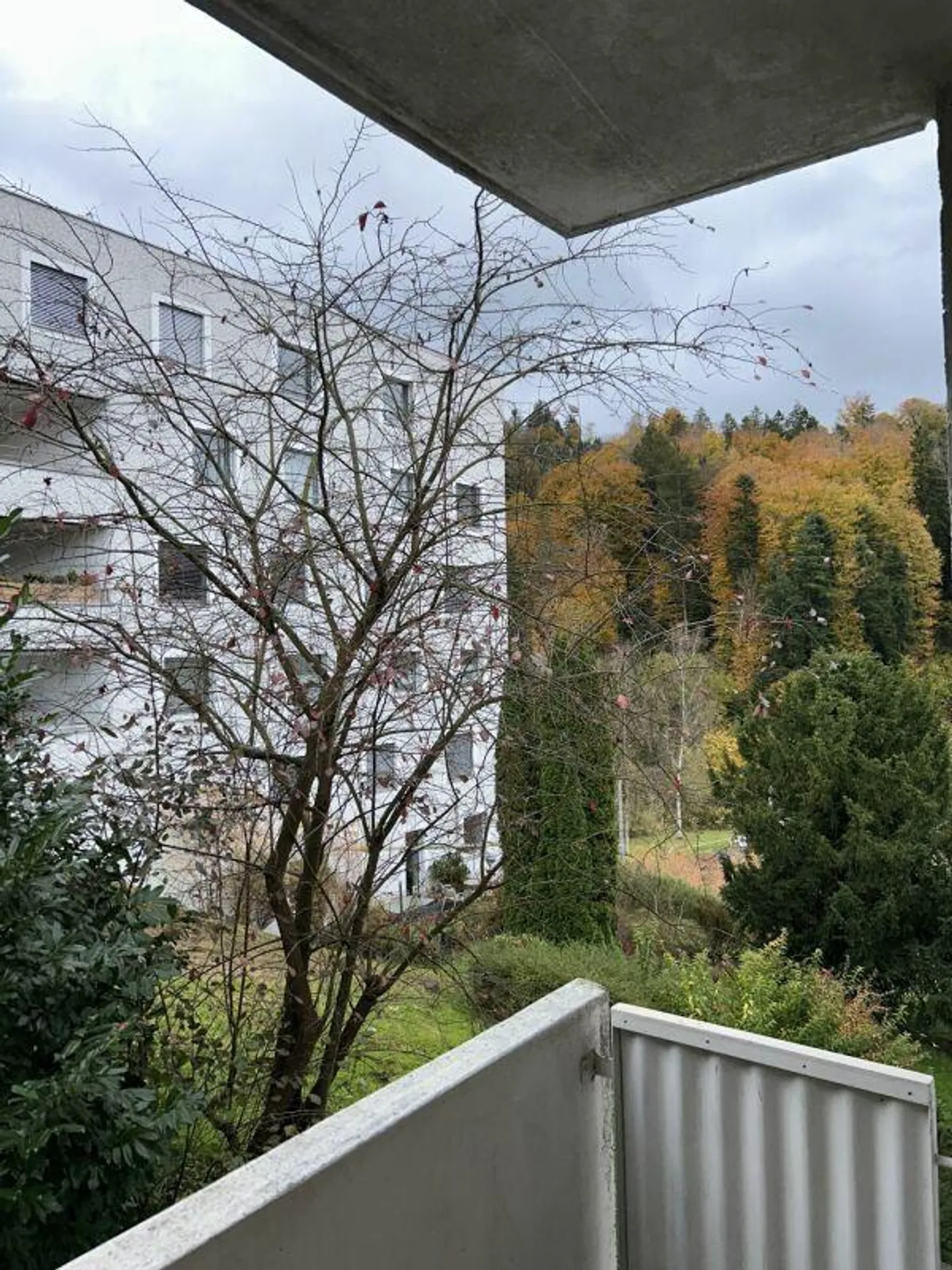 Appartamento 3 locali nel quartiere Würzenbach - Foto 7 di 7