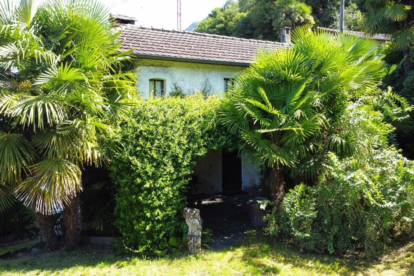 Characteristic Ticinese house with large land - Photo 13 of 14