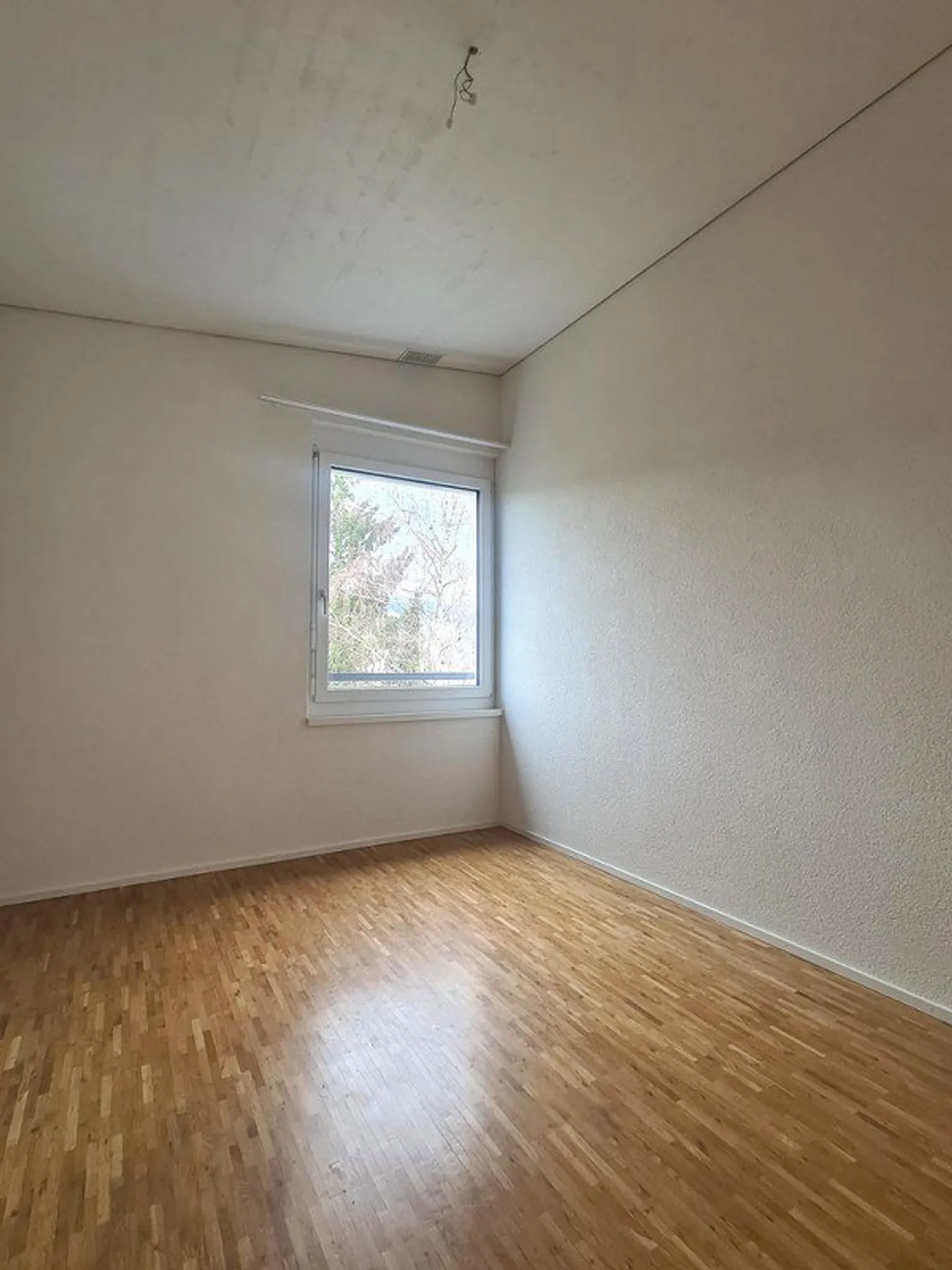 La tua nuova oasi di benessere! - Foto 8 di 13