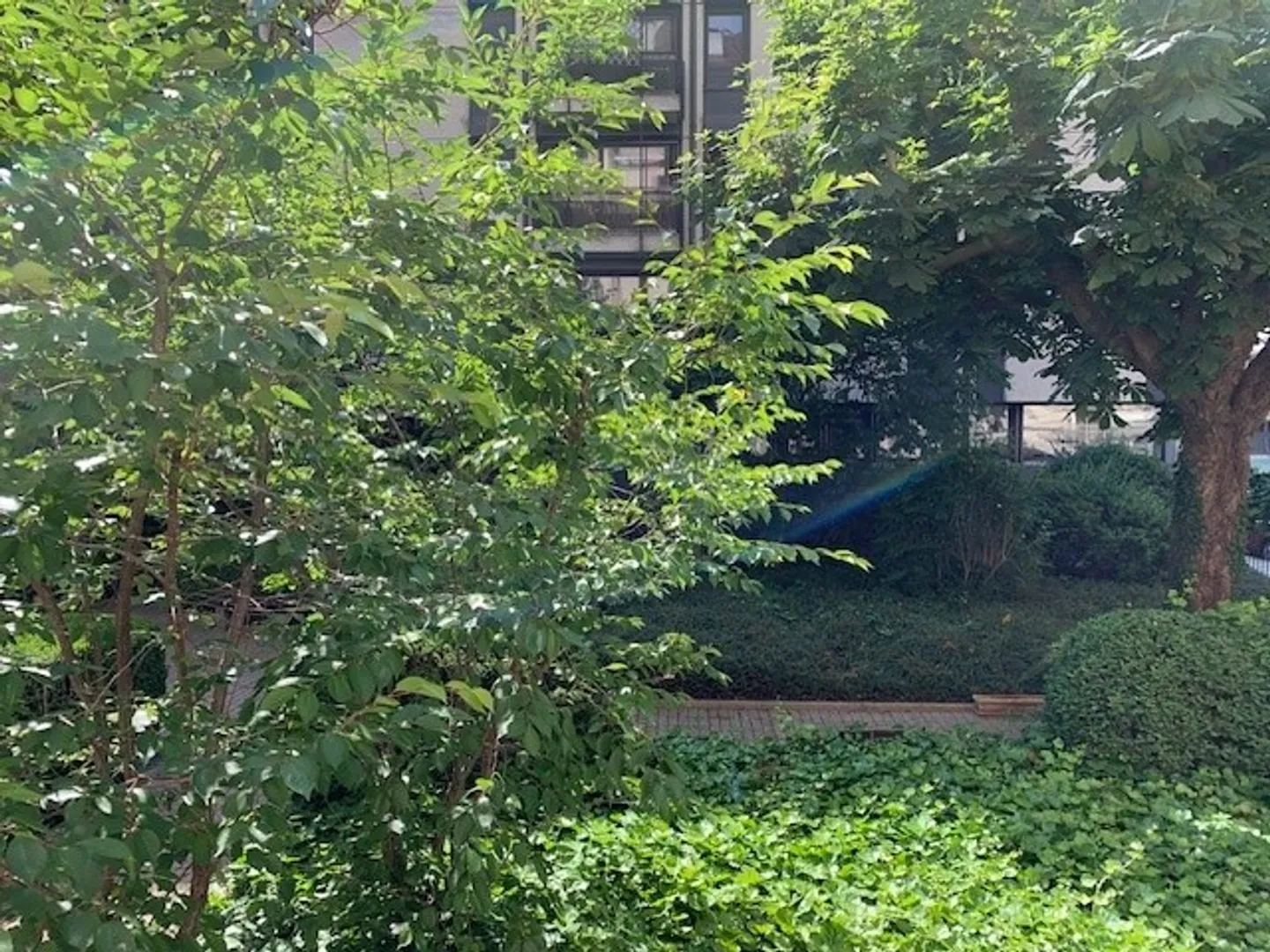 Appartamento di 3 stanze al 2° piano con vista su una piazza piacevolmente verde - Foto 2 di 5