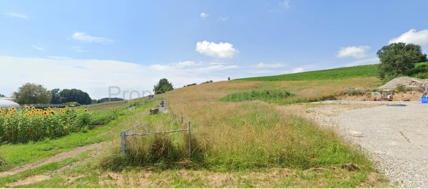 Nuovo progetto di costruzione a Lamperswil - Vivere in armonia con la natura - Foto 2 di 9