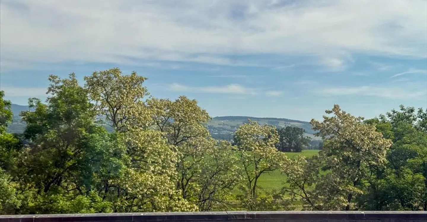 Office space for rent - Photo 3 of 5