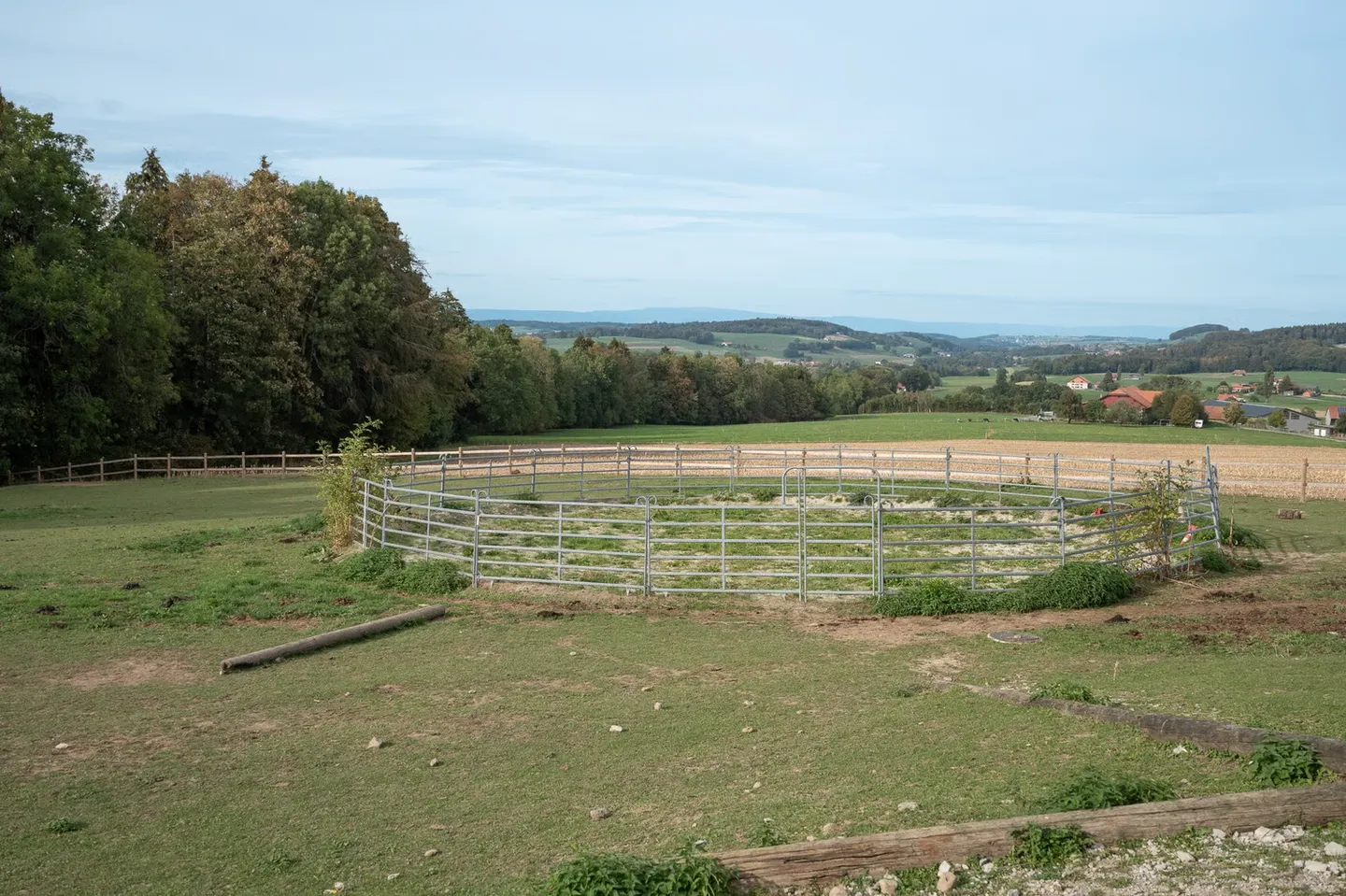 AZIENDA EQUESTRE CON 6 ALLOGGI E UN TERRENO DI 10'474 M² - Foto 9 di 13