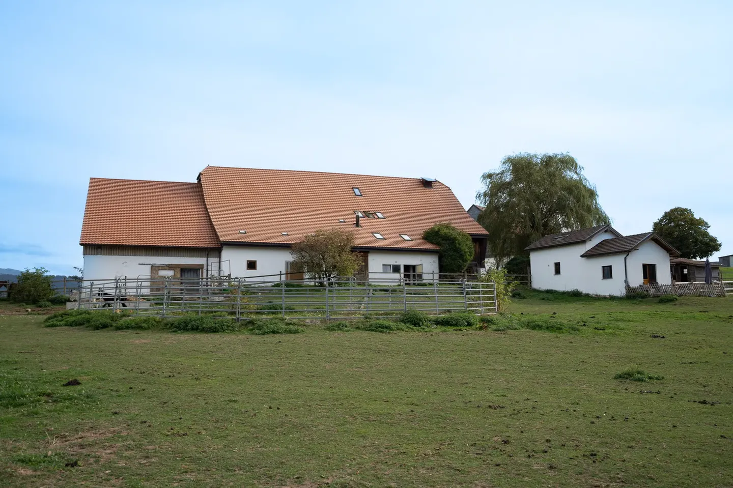 AZIENDA EQUESTRE CON 6 ALLOGGI E UN TERRENO DI 10'474 M² - Foto 4 di 13