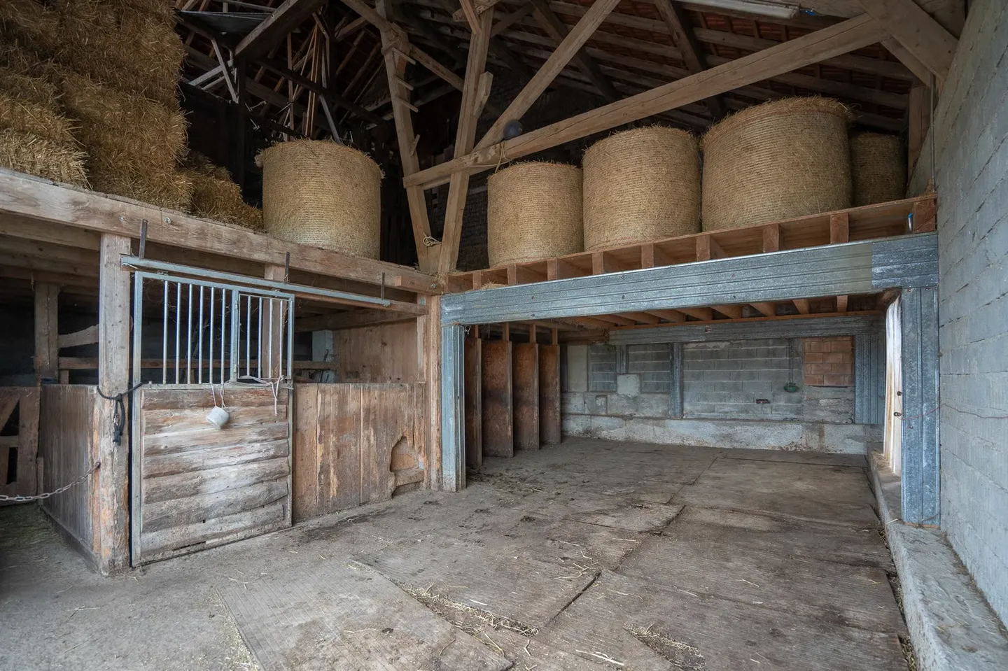 AZIENDA EQUESTRE CON 6 ALLOGGI E UN TERRENO DI 10'474 M² - Foto 7 di 13