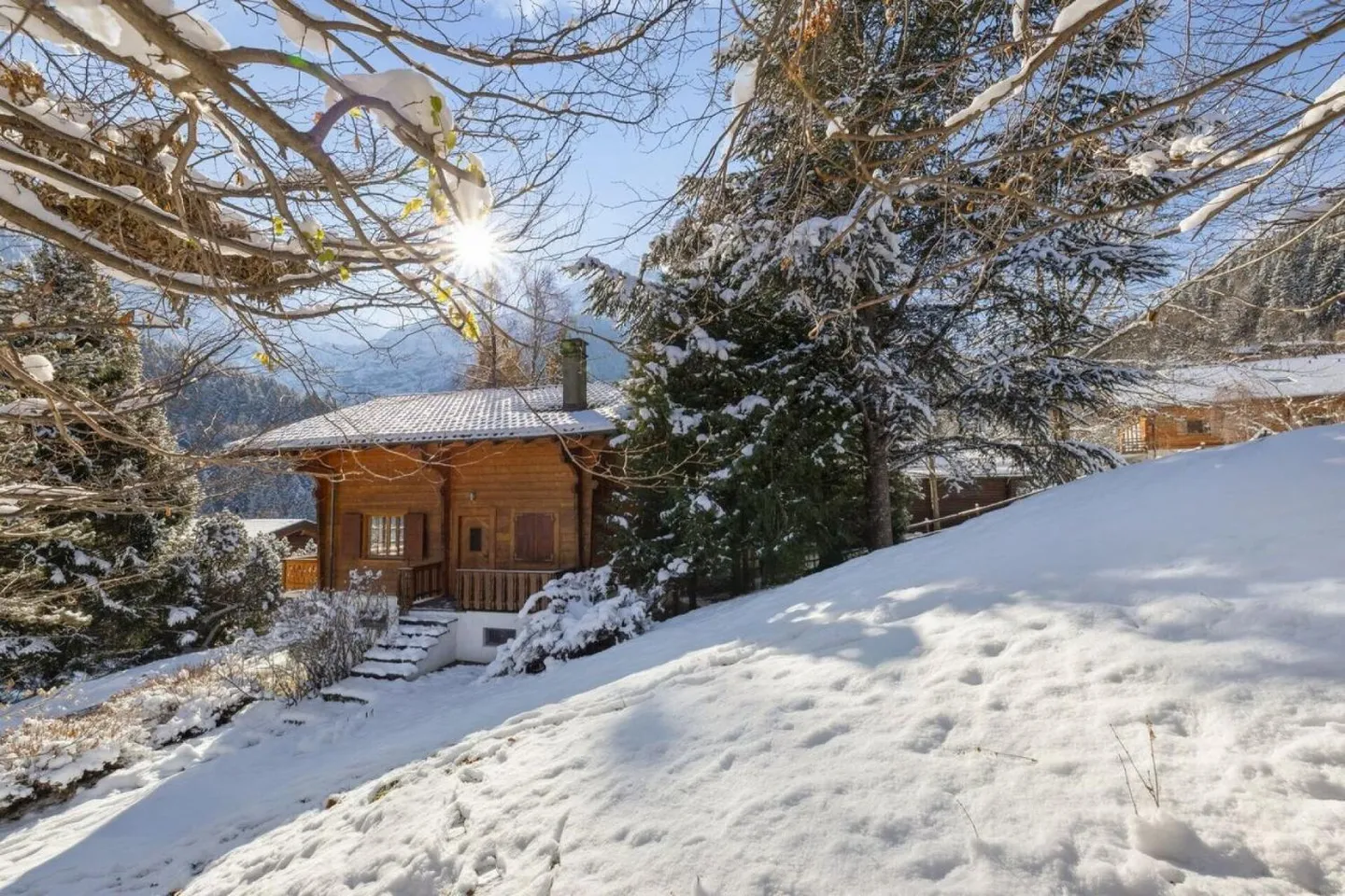 Chalet Entre Dents - Photo 11 sur 13