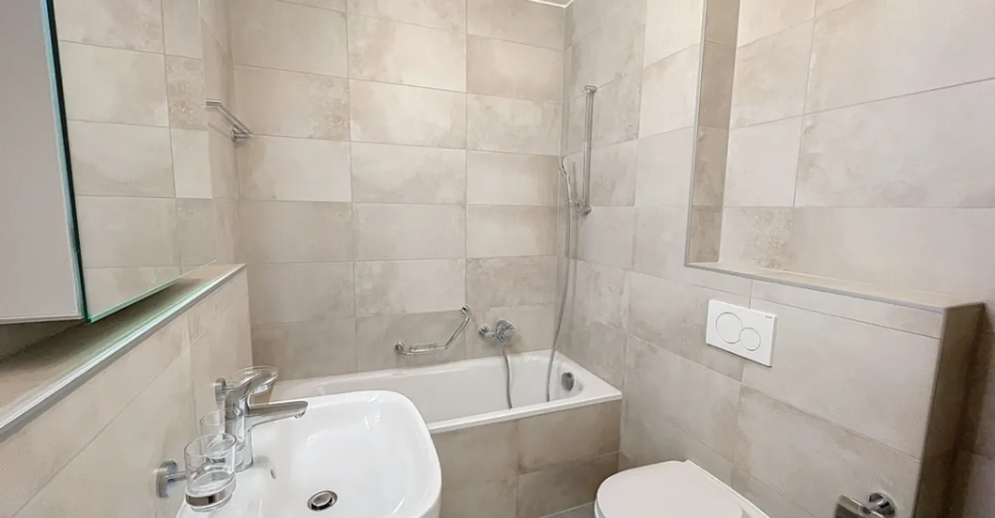 Magnificent 3.5 rooms fully renovated - Jaman 1 - Photo 8 of 10