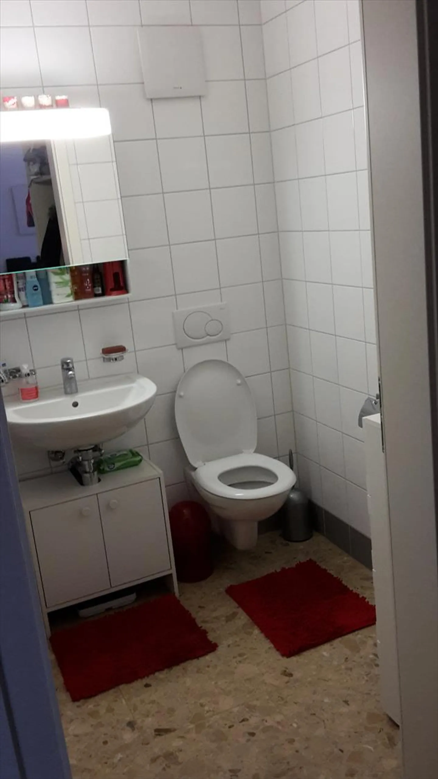 2.5 Room Apartment - Photo 7 of 10