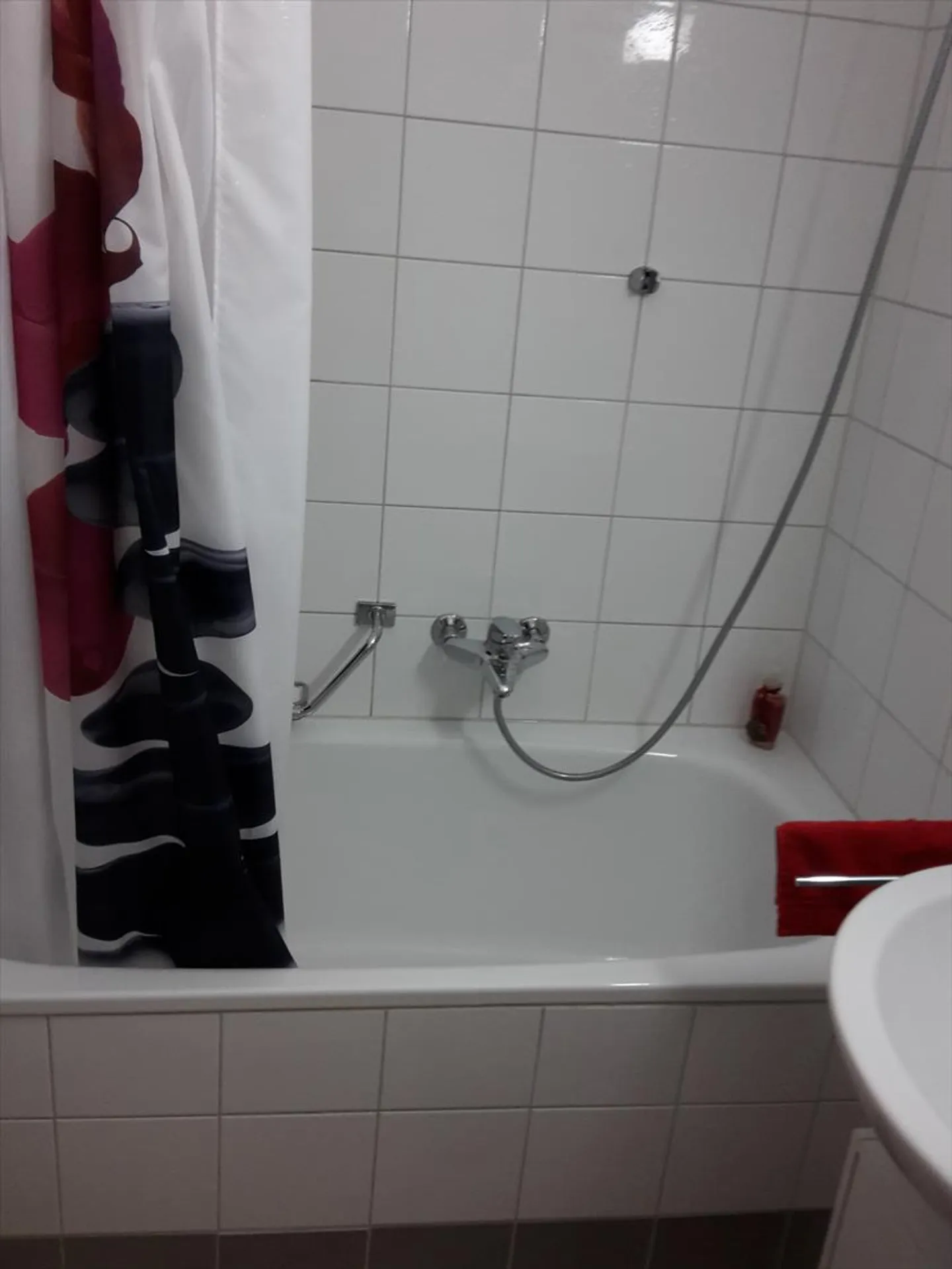 2.5 Room Apartment - Photo 8 of 10