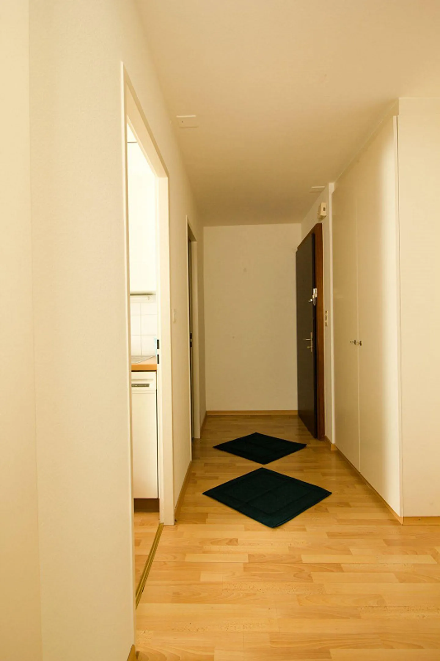 3.5 Room Apartment for Rent in Central Location - Photo 7 of 8