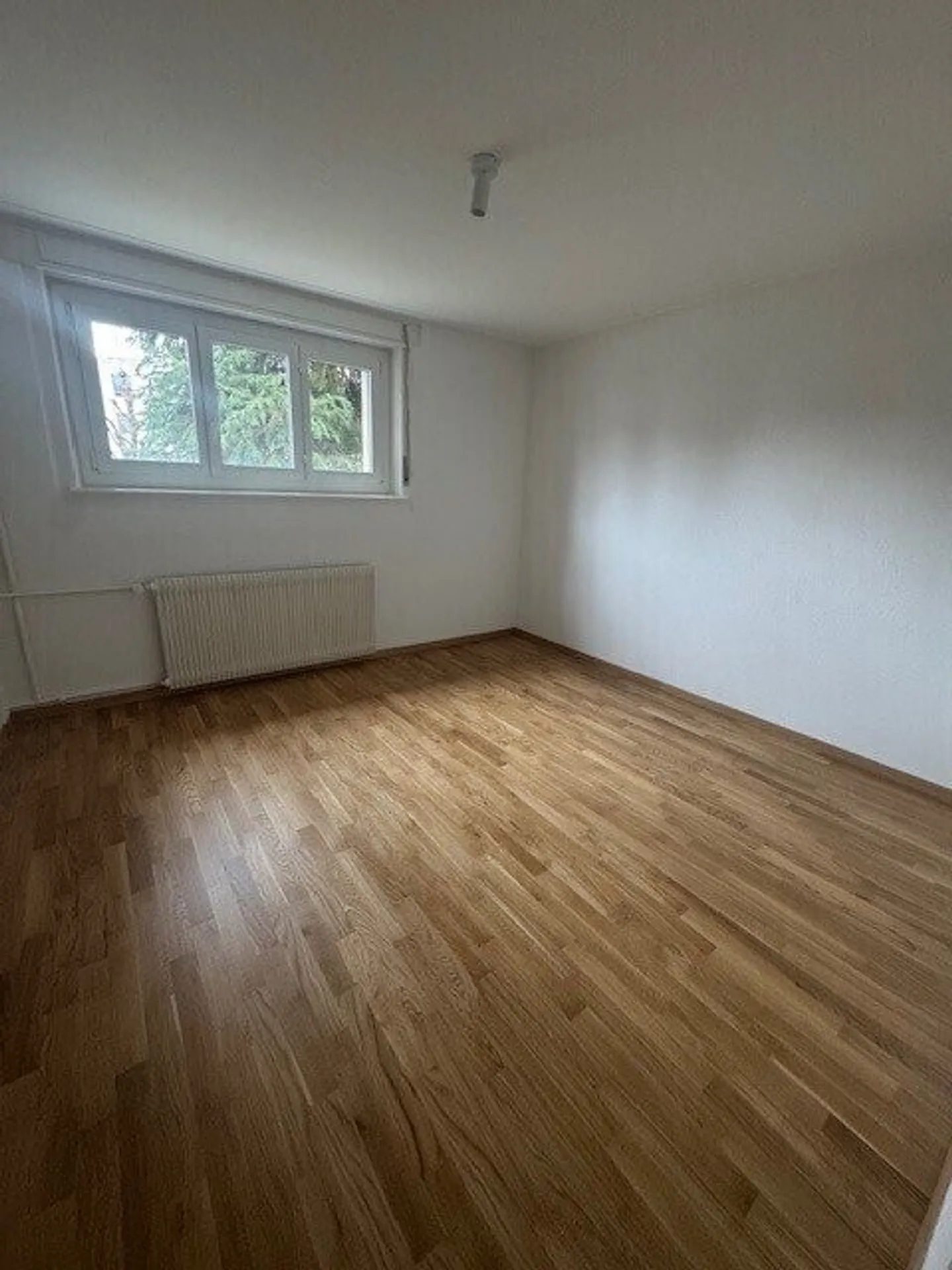 Charming Apartment in Fribourg - Photo 4 of 4