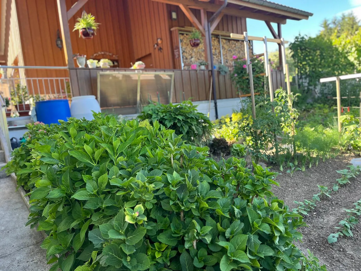 Natura Pura: Appartamento 1,5 locali, accogliente e ben curato con ingresso privato - Foto 14 di 15