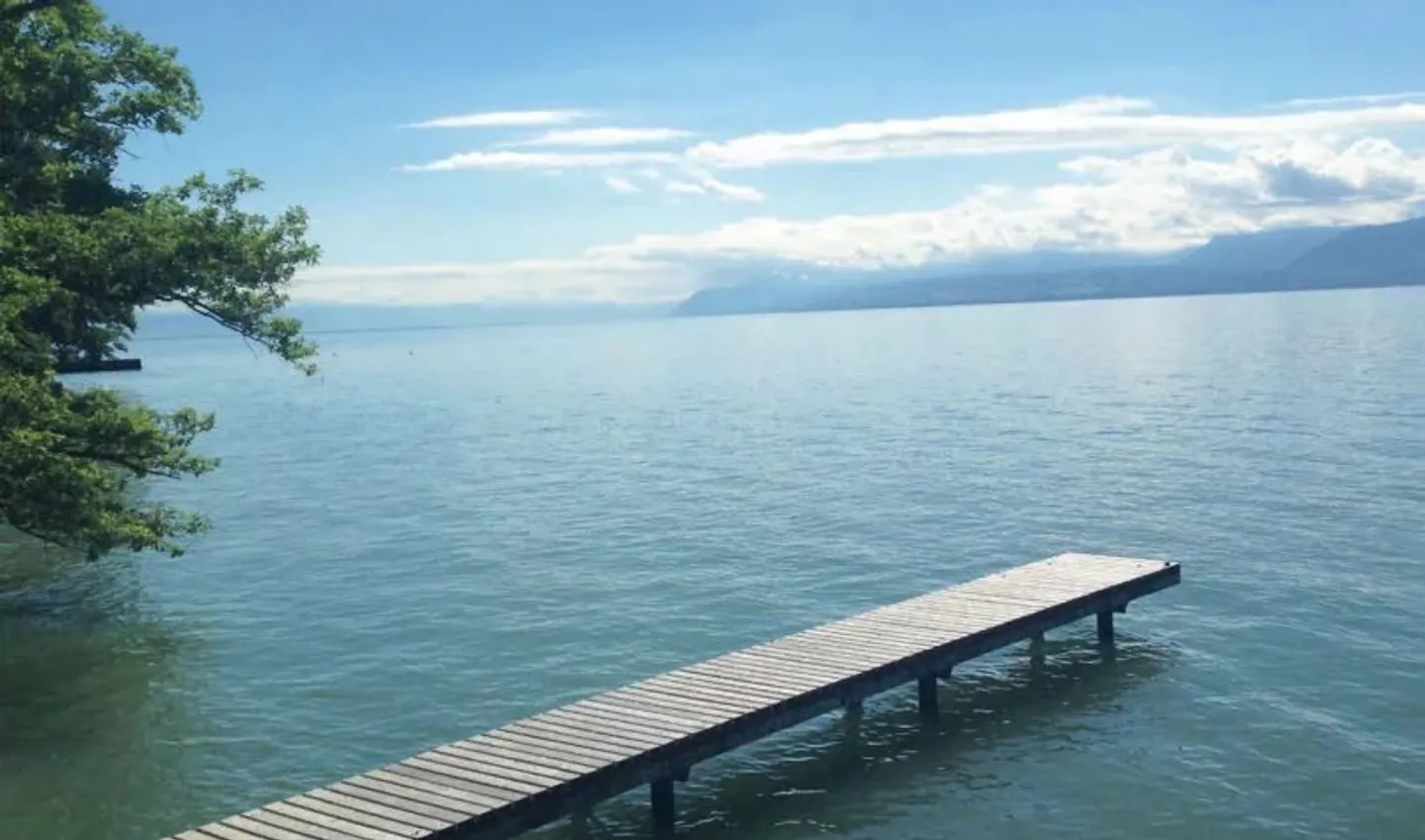Waterfront Property - Photo 25 of 25