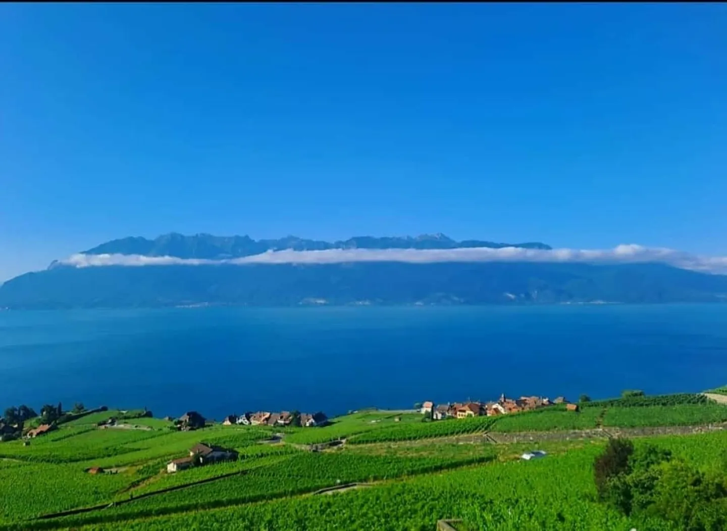 Bellissimo appartamento arredato di 3,5 locali con vista mozzafiato sul lago e sulle montagne - - Foto 3 di 10