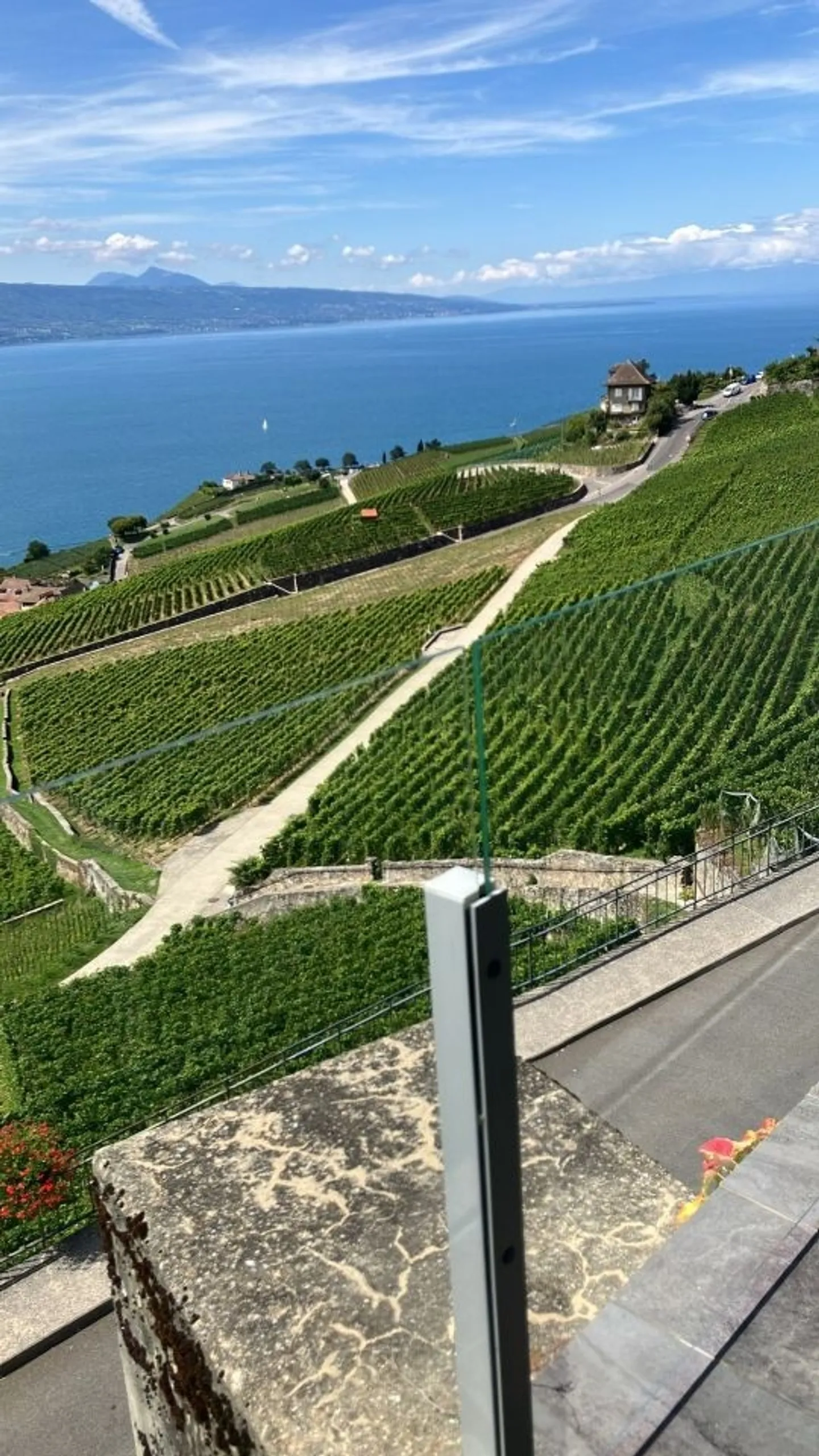Bellissimo appartamento arredato di 3,5 locali con vista mozzafiato sul lago e sulle montagne - - Foto 10 di 10