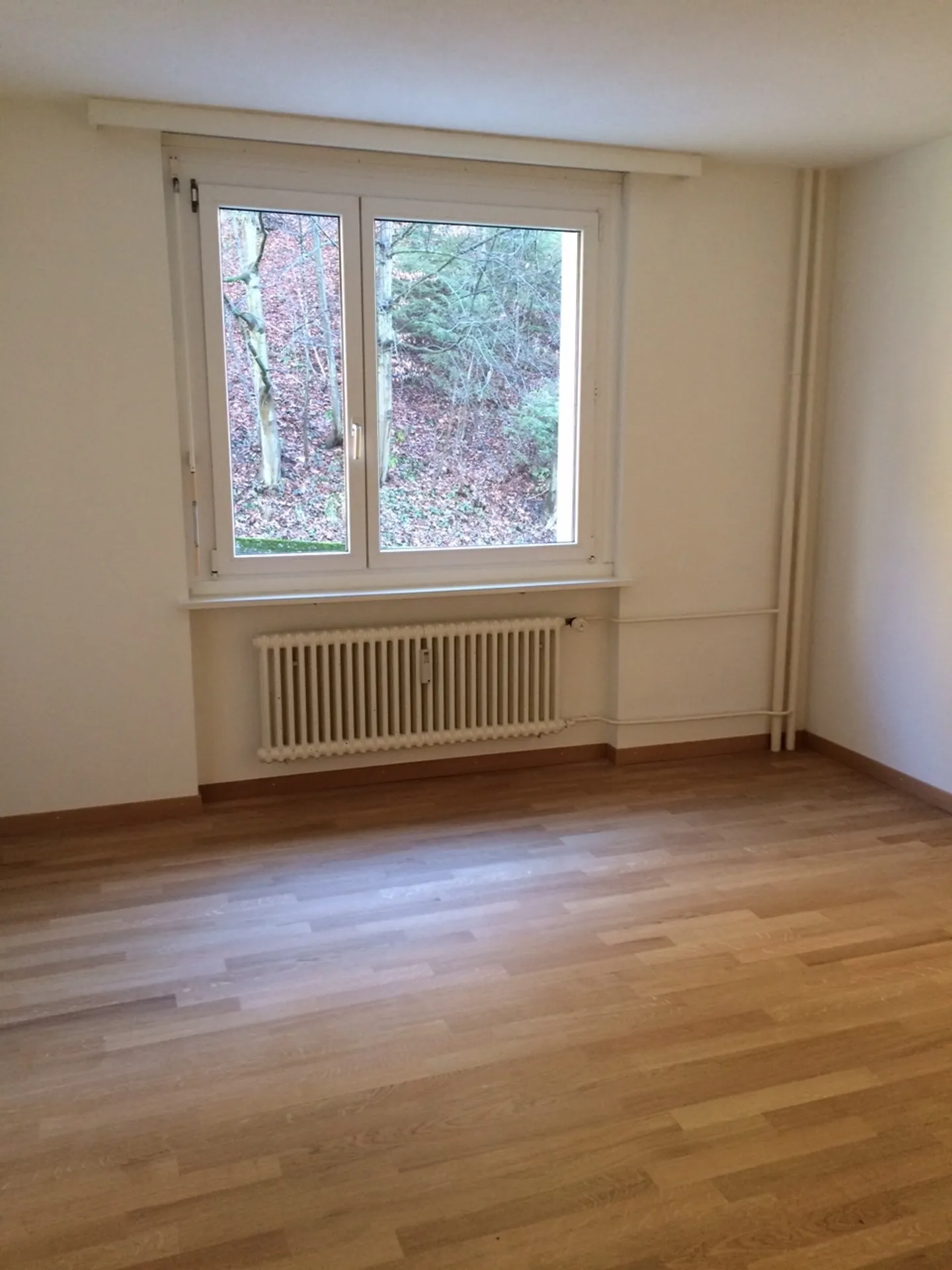 Charmante 2-Zimmer-Wohnung in Luzern - Foto 5 von 6