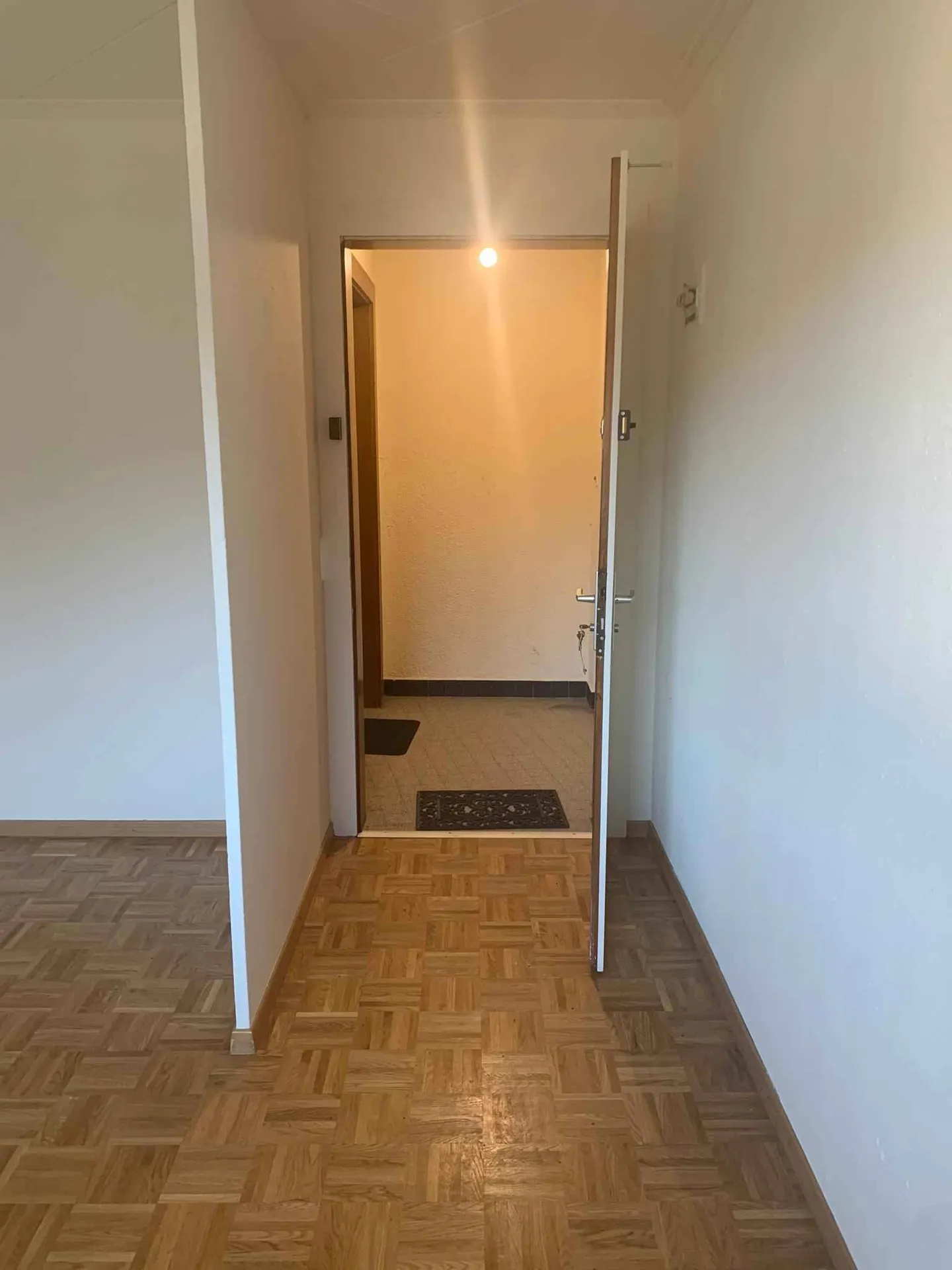 Studio Incantevole in Verde - Foto 5 di 5