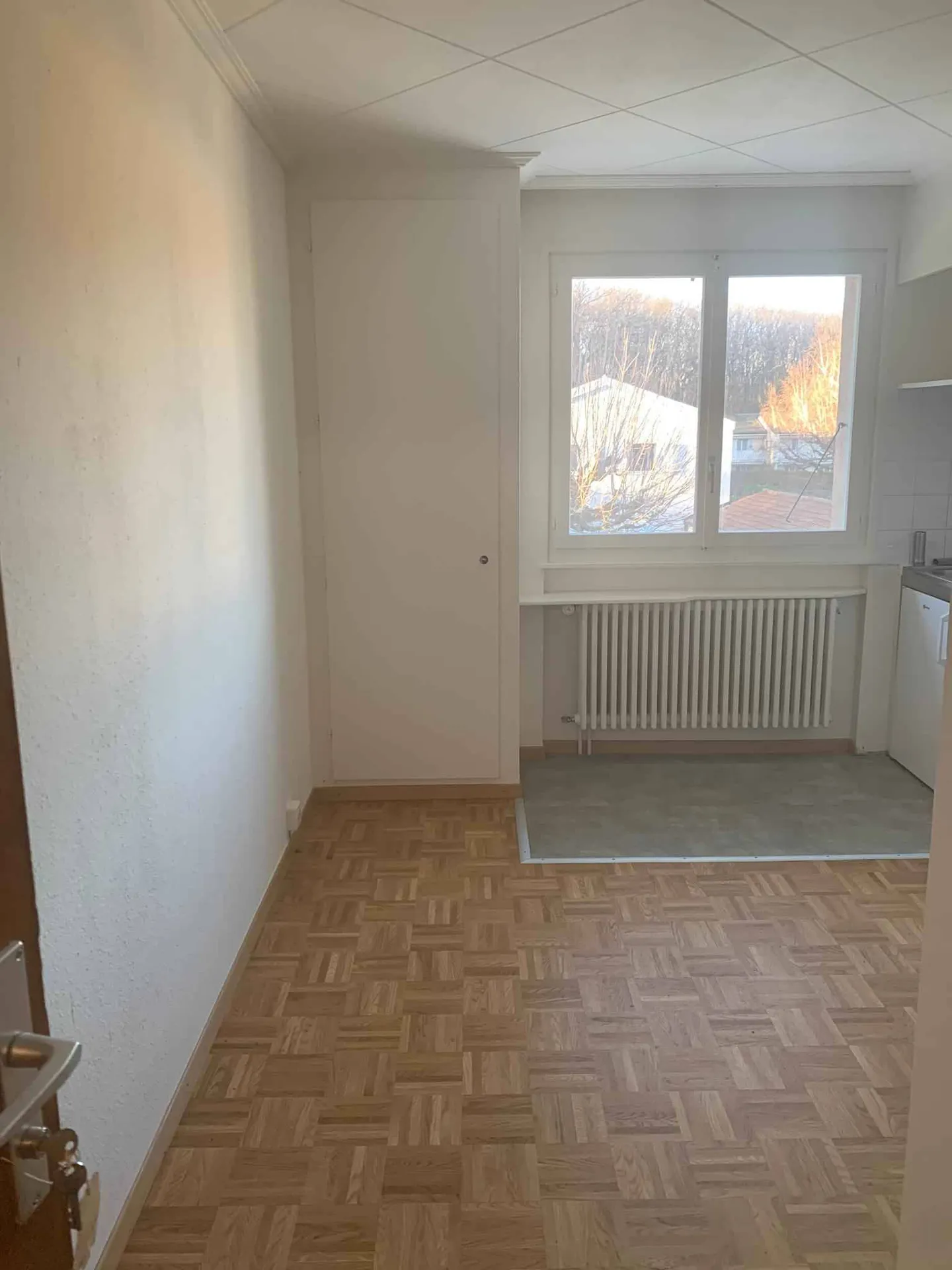 Studio Incantevole in Verde - Foto 3 di 5