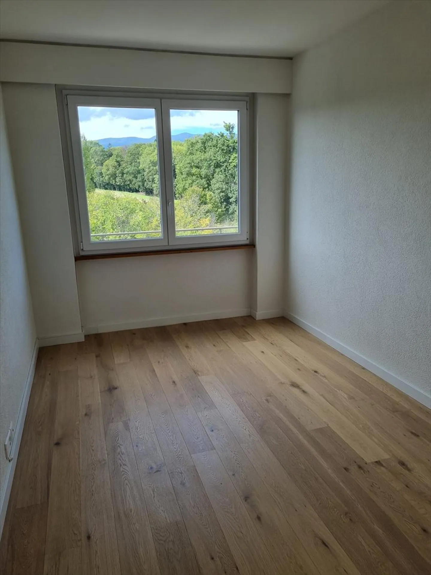 4.5 Room Apartment - Photo 6 of 9