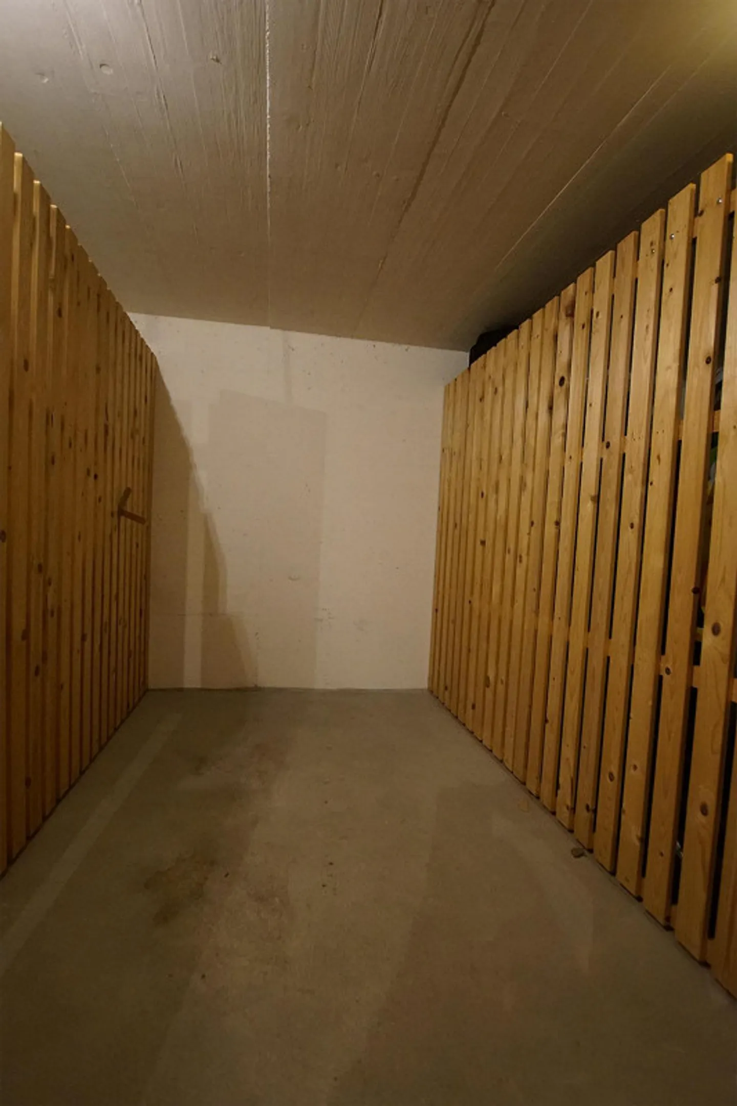 Ampio appartamento di 4,5 stanze con bel spazio esterno - Foto 9 di 9