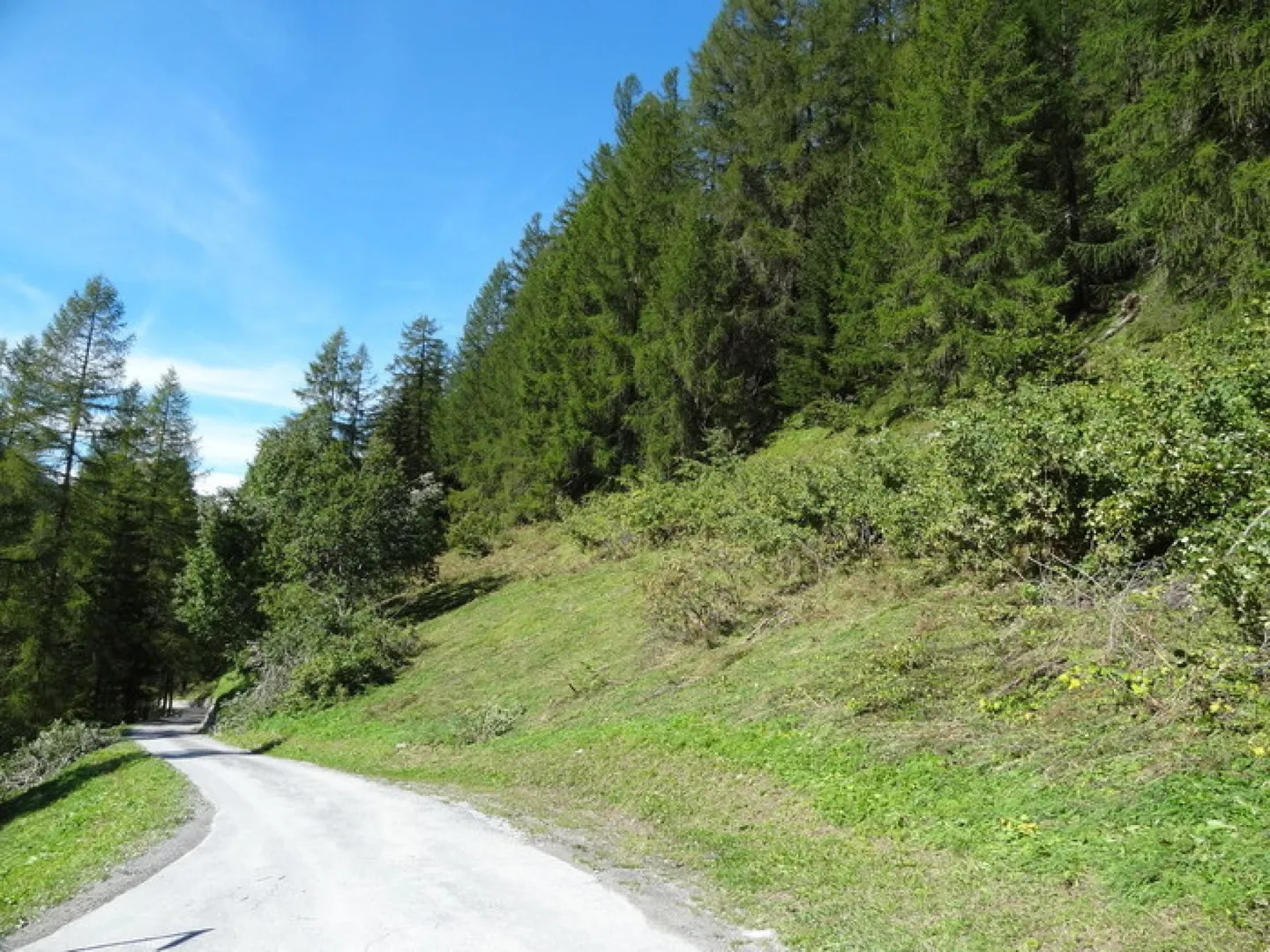 Terreno edificabile sulla pendenza soleggiata Varie parcelle Copia - Foto 4 di 5