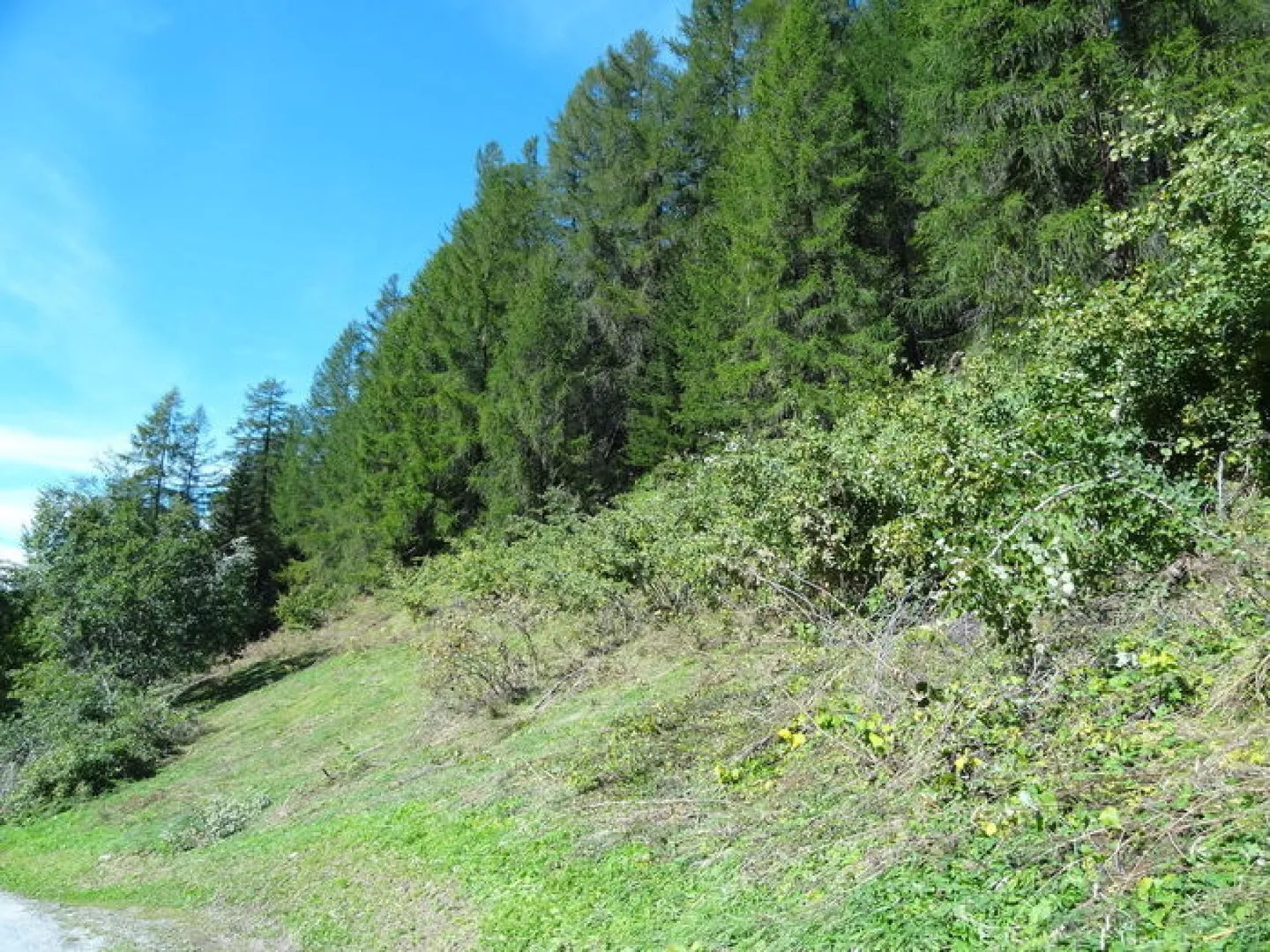 Terreno edificabile sulla pendenza soleggiata Varie parcelle Copia - Foto 5 di 5