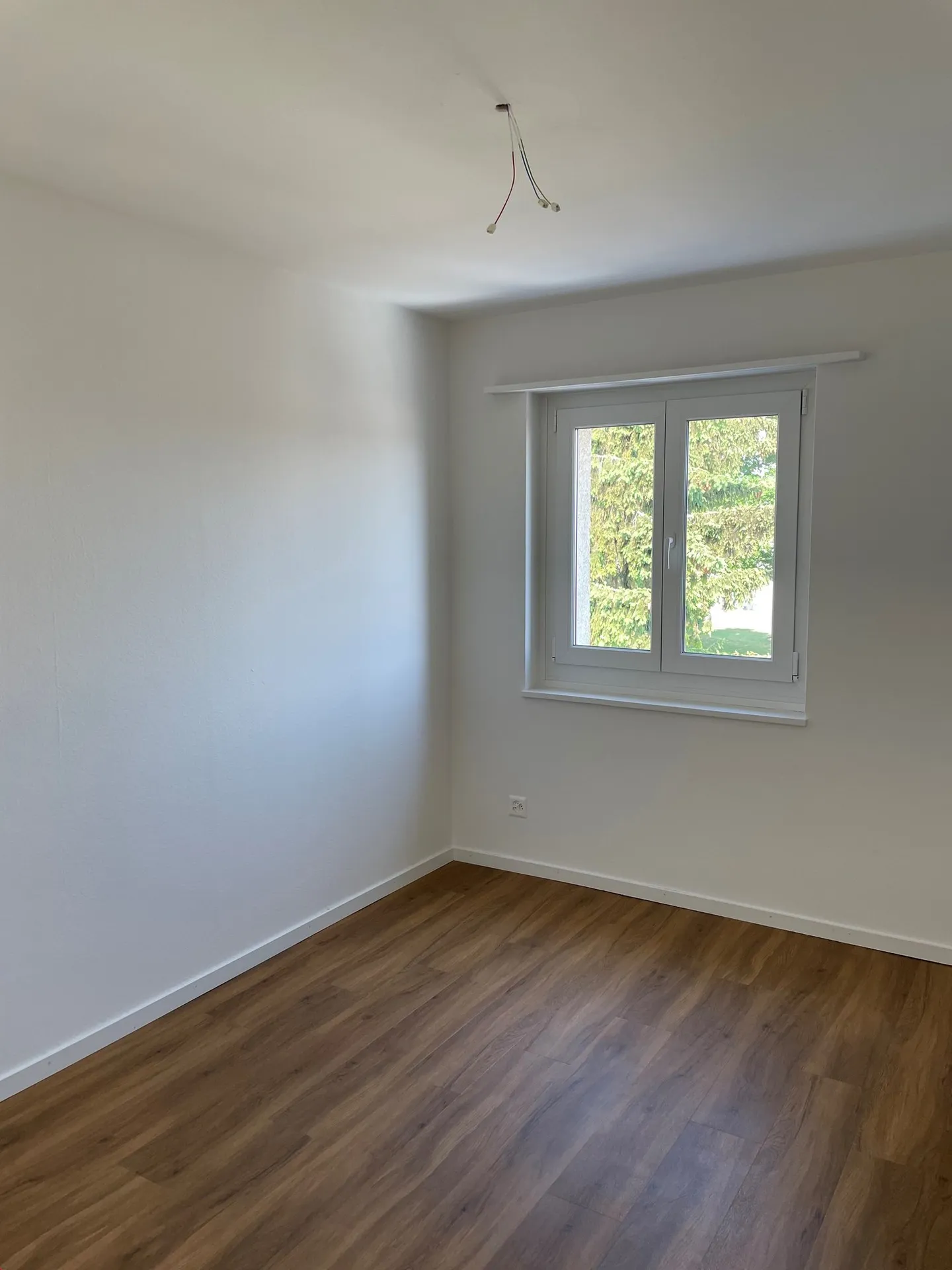 Renovated apartment near the lake - Photo 5 of 9