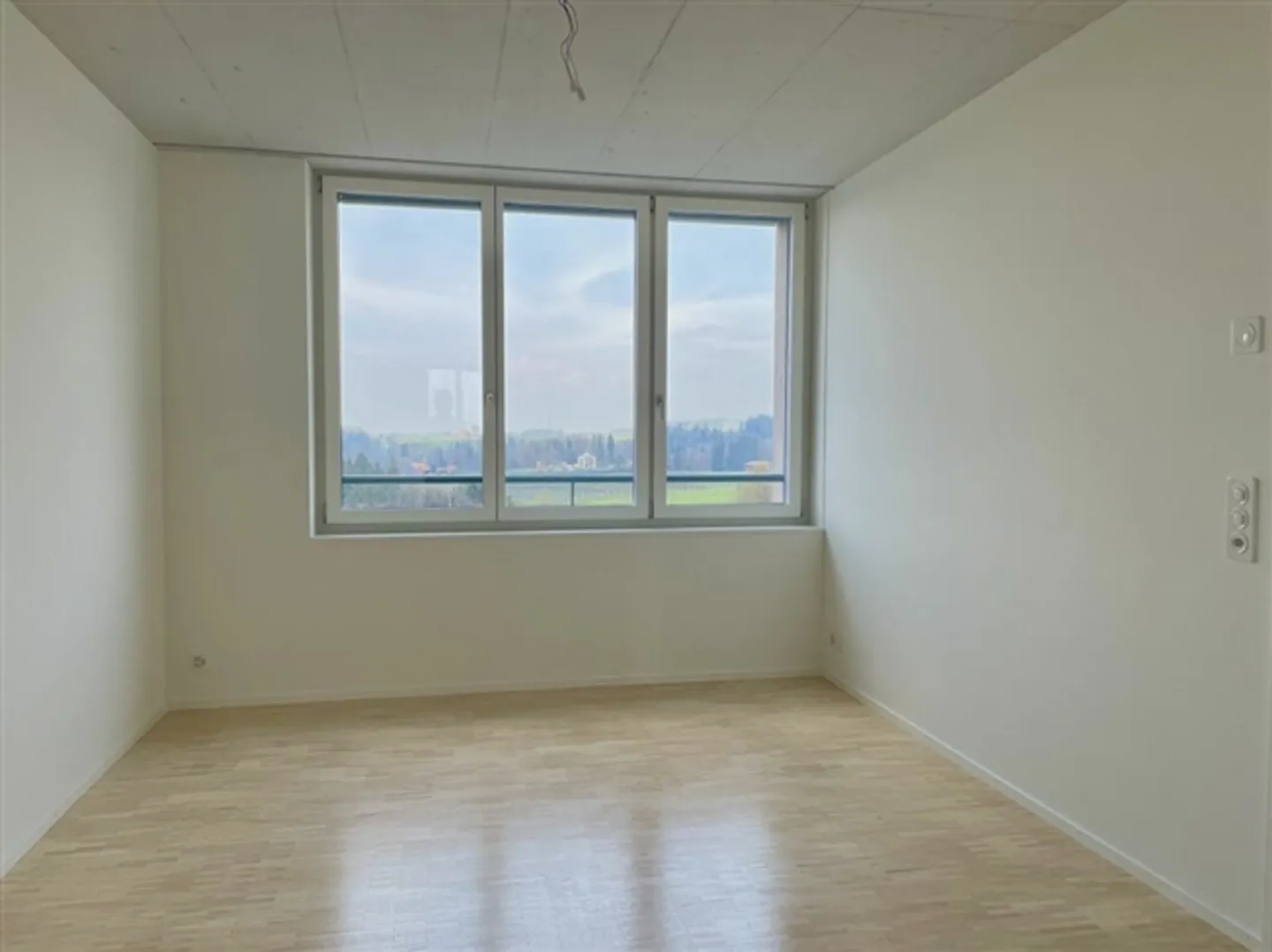 Modern and Stylish Apartment with Private Washing Tower in Flawil - Photo 6 of 13