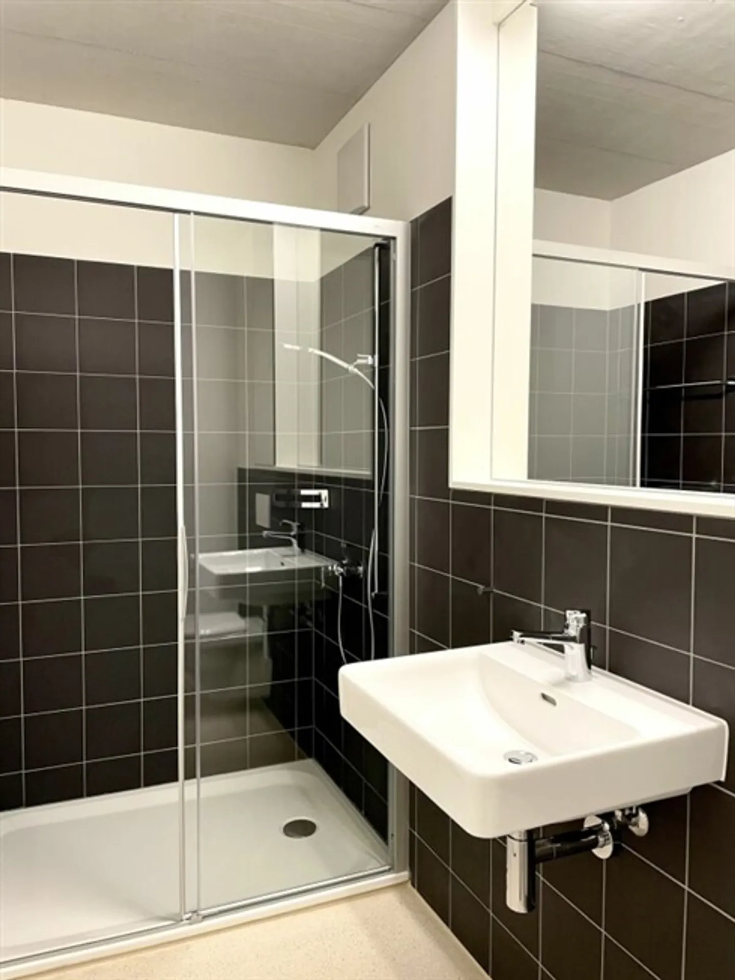 Modern and Stylish Apartment with Private Washing Tower in Flawil - Photo 10 of 13