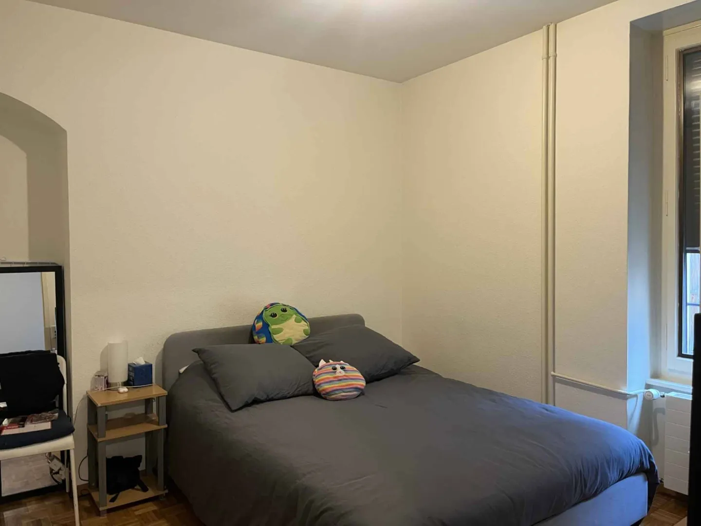 Modern Apartment in Central Geneva - Photo 2 of 3