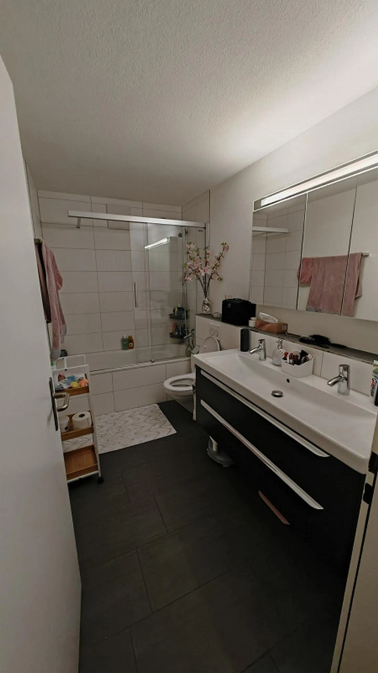 4 ½ Room Apartment for Rent in Rotkreuz - Photo 6 of 6