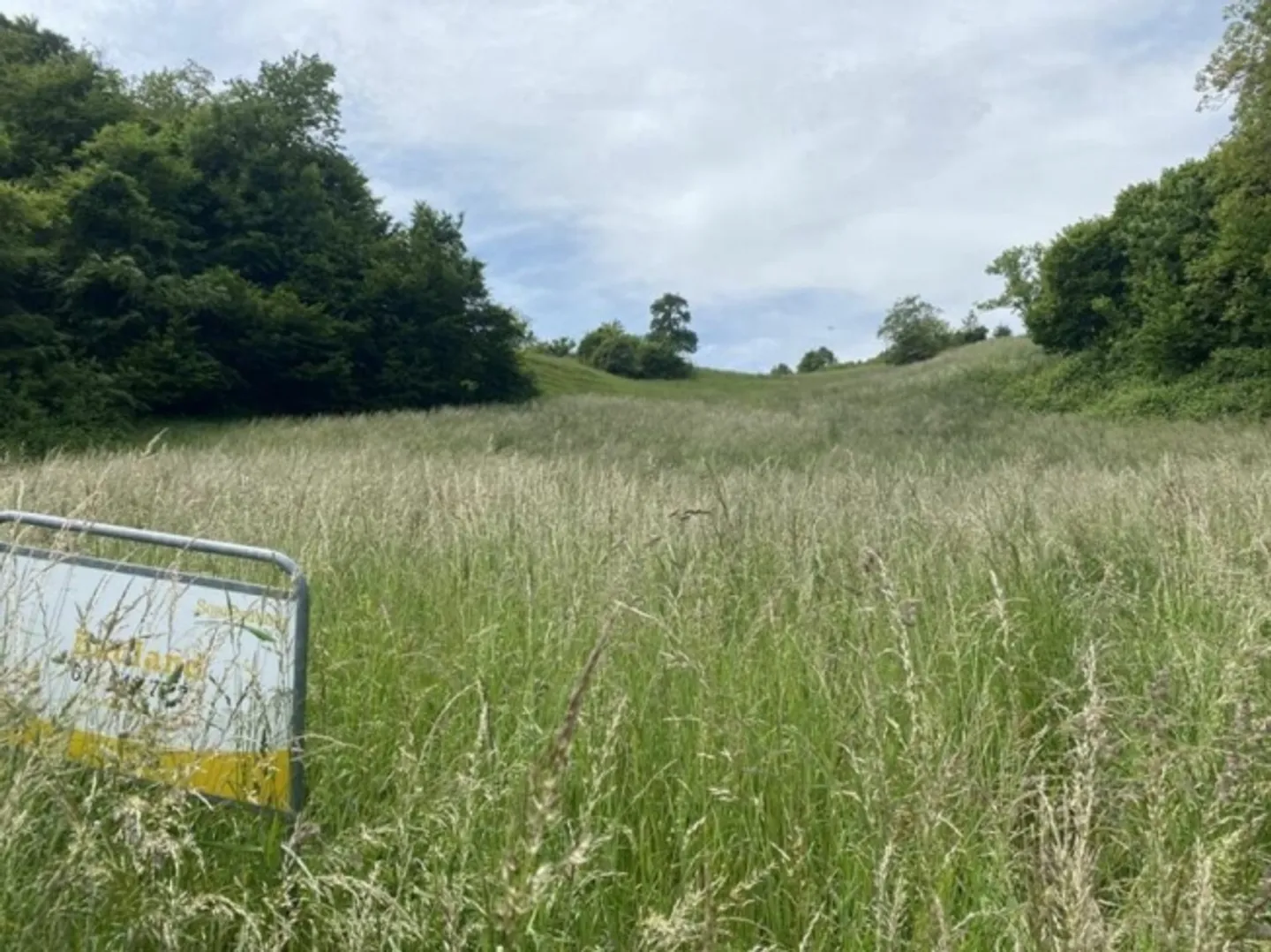 Parcela esclusiva con vista panoramica in una posizione collinare ben soleggiata - Foto 3 di 9