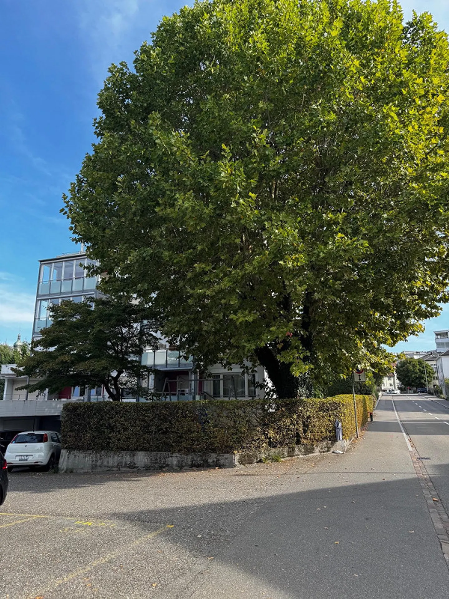 Charmante Wohnung in Brugg - Foto 3 von 11