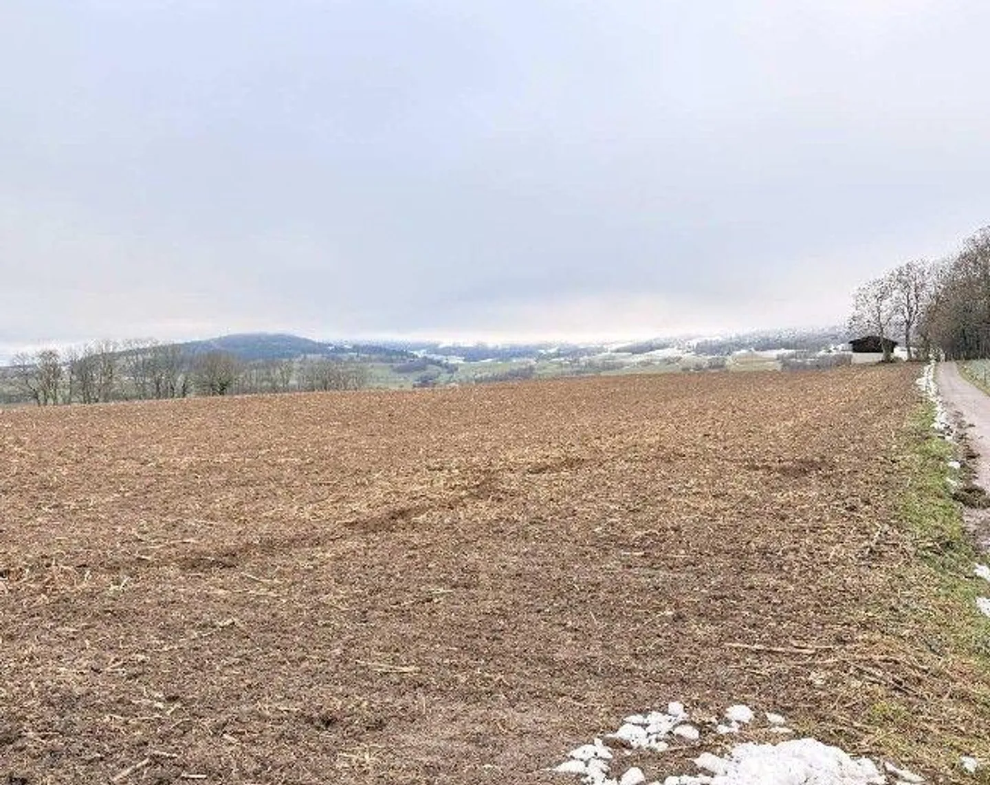 *Remise avec champ, pre, pâturage* - Photo 1 sur 13