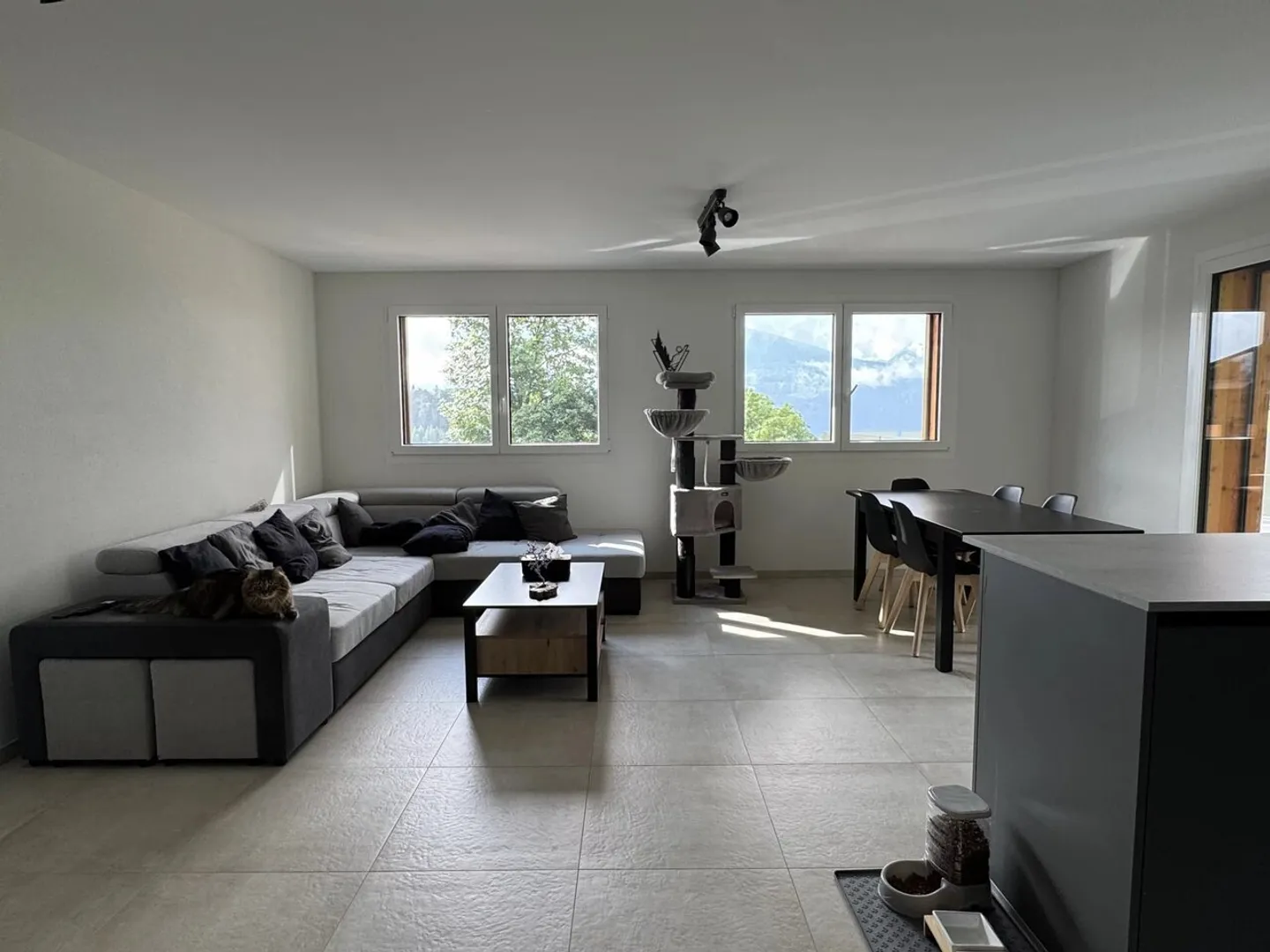 Ayent, große und helle 3,5-Zimmer-Wohnung - Foto 2 von 7