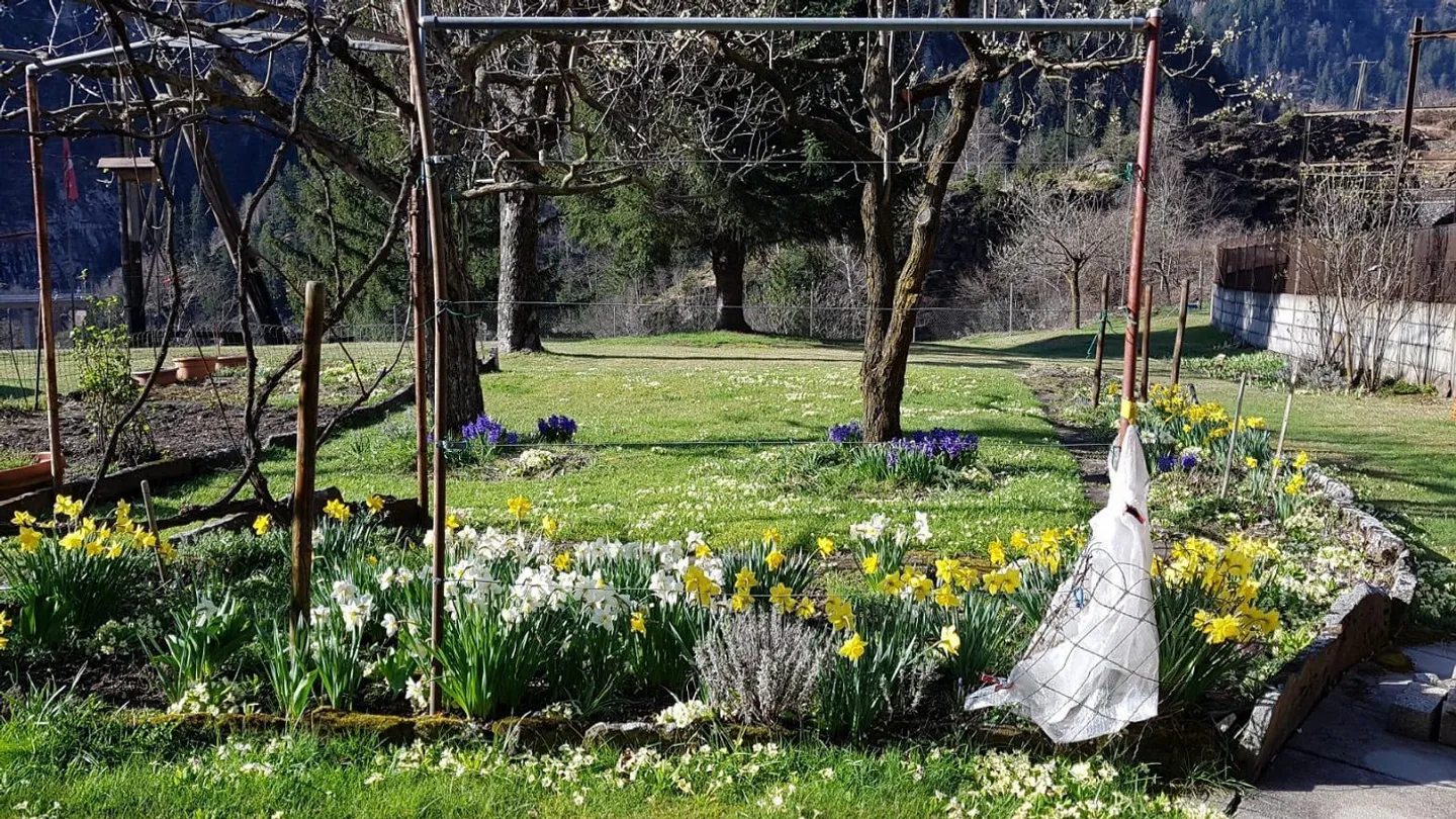 Charmantes Chalet mit Garten - Foto 27 von 38