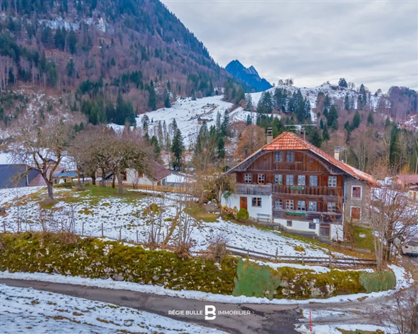 Charmey - Casa di villaggio con carattere e grande giardino - Foto 6 di 9