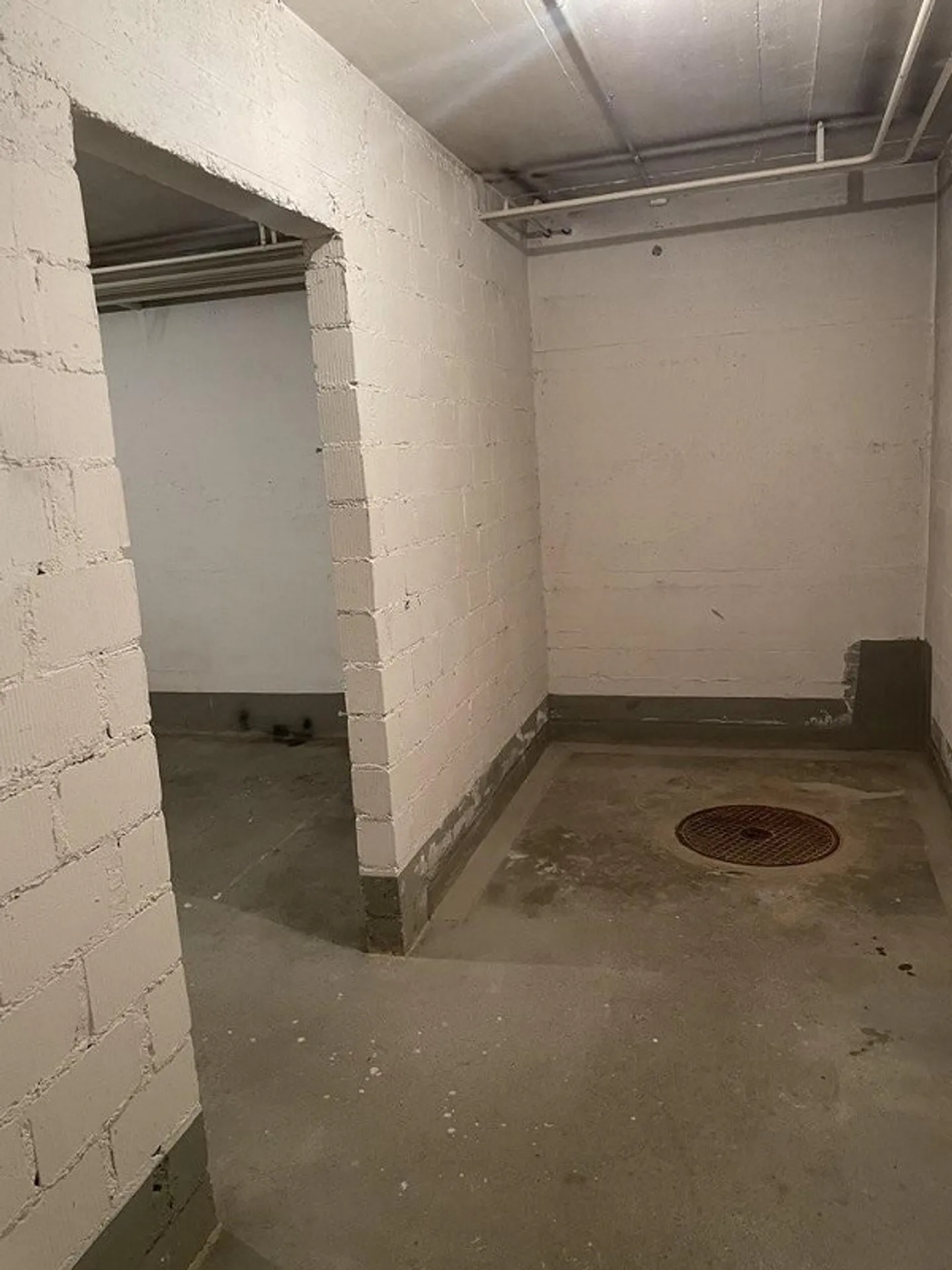 Espace de stockage spacieux à Adliswil - Photo 4 sur 5