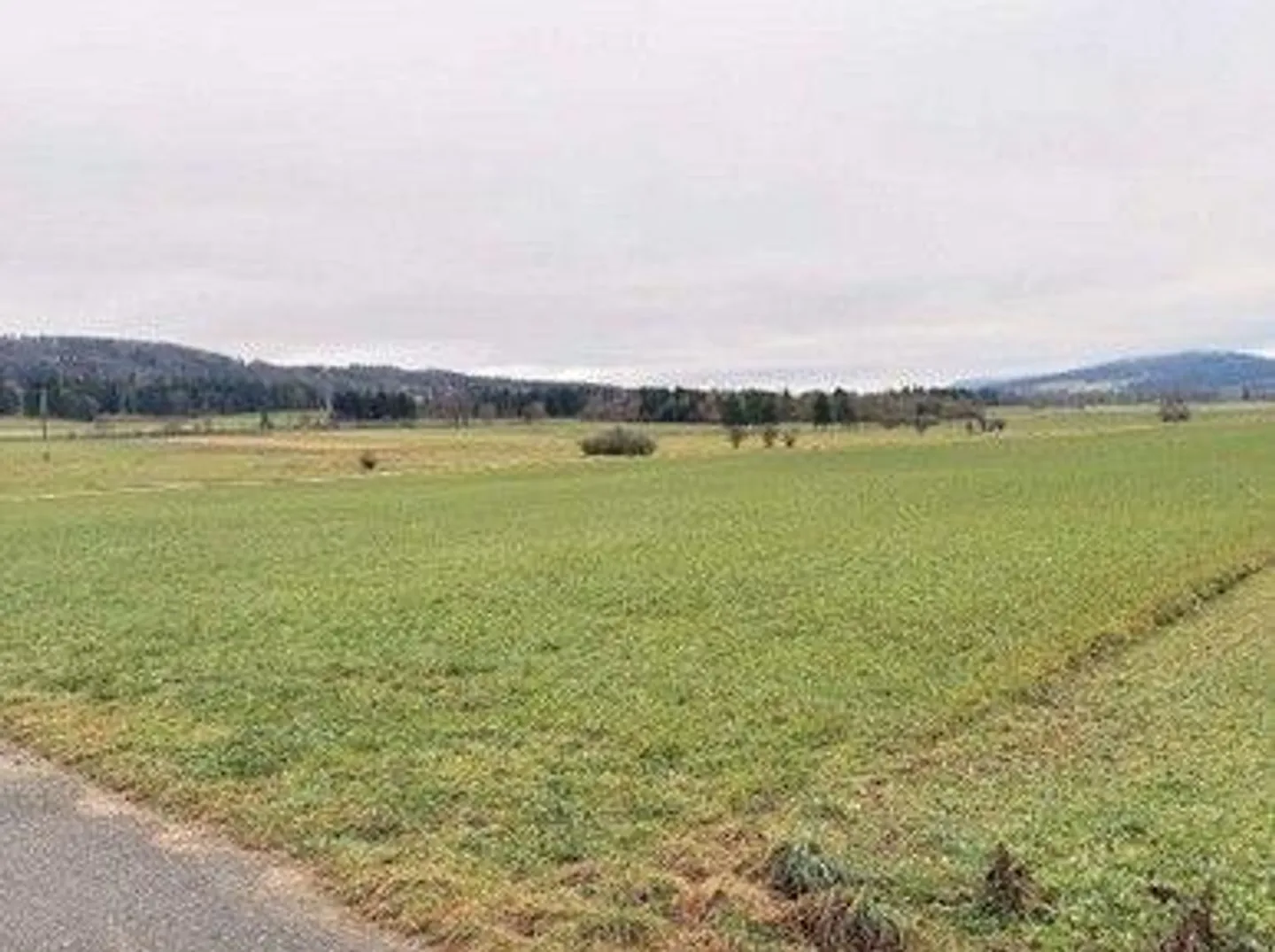 *Champ, pré, pâturage* - Photo 1 sur 13