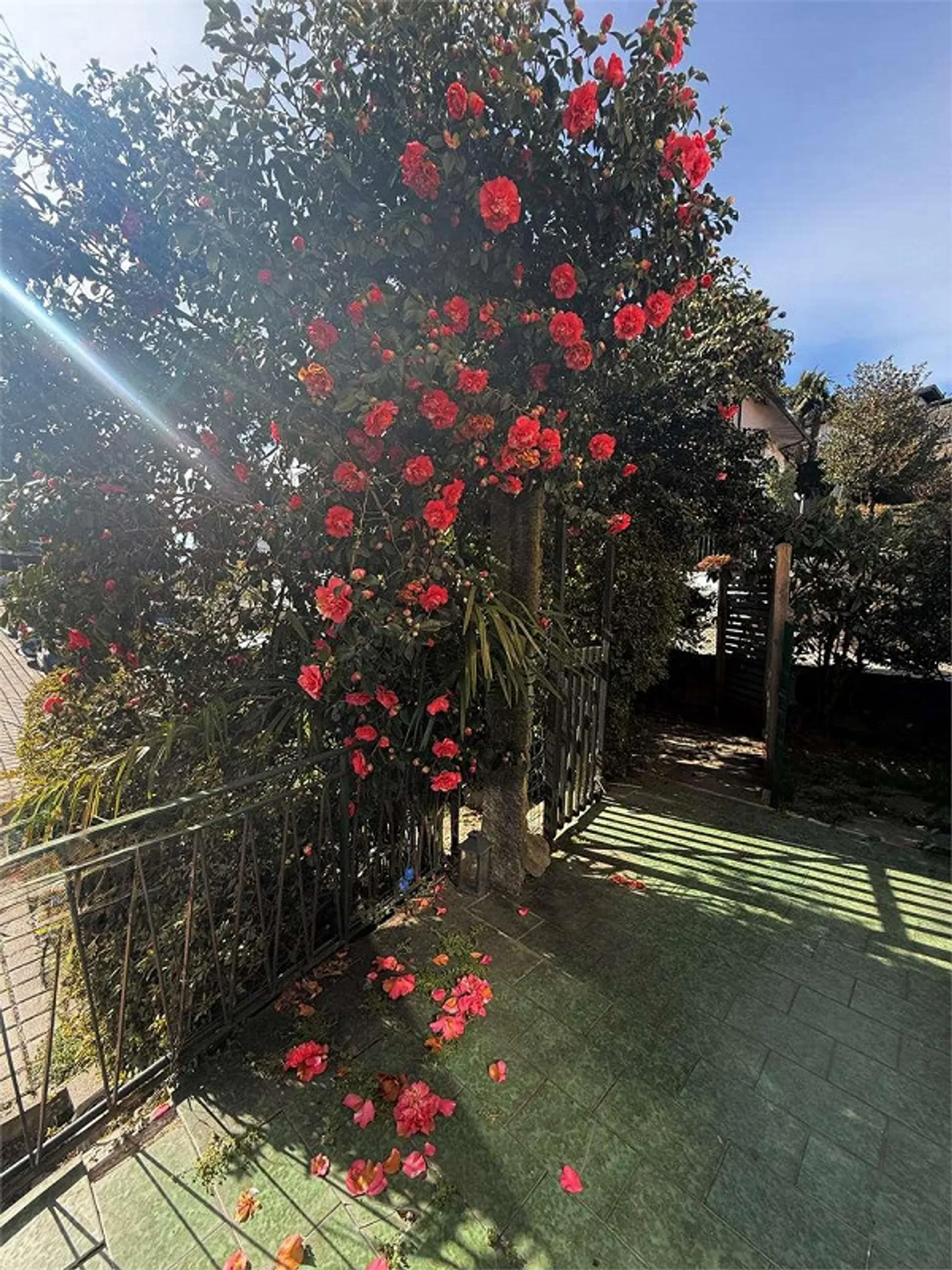 Geräumige Wohnung in Comano - Foto 5 von 9