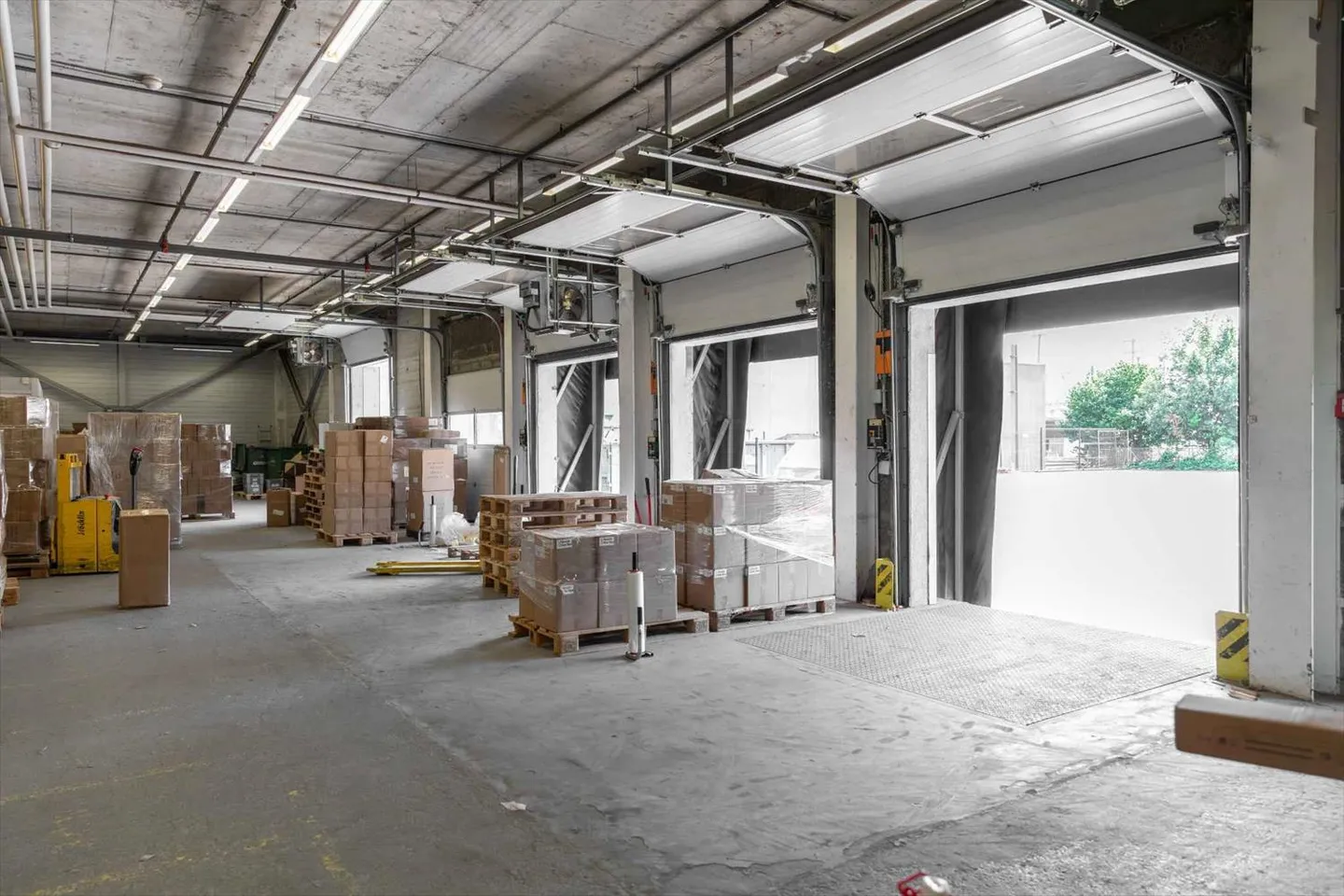 RARE! Lagerfläche ab 2.000 m² im Zentrum von Genf - Foto 3 von 11