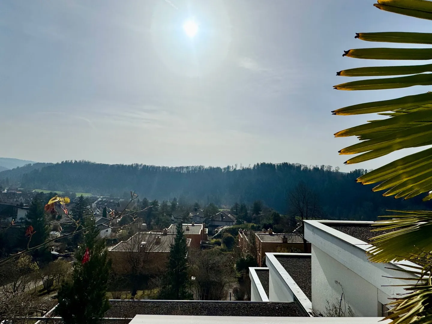 Nature, Peace and Sun - Living at Üetliberg with Impressive Terrace - Photo 13 of 13