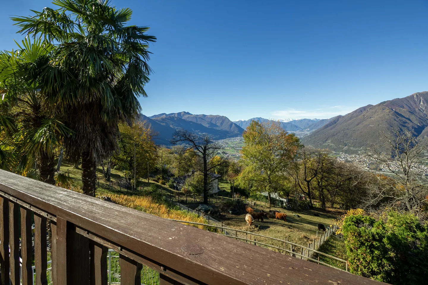 Ruhe, Grün und offene Aussicht nur wenige Minuten von Giubiasco entfernt - Foto 7 von 8