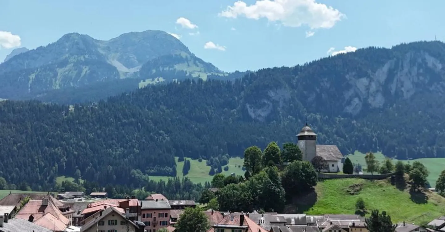 Appartamento di carattere di 7 locali nel cuore di Château-d'Oex - Foto 10 di 11