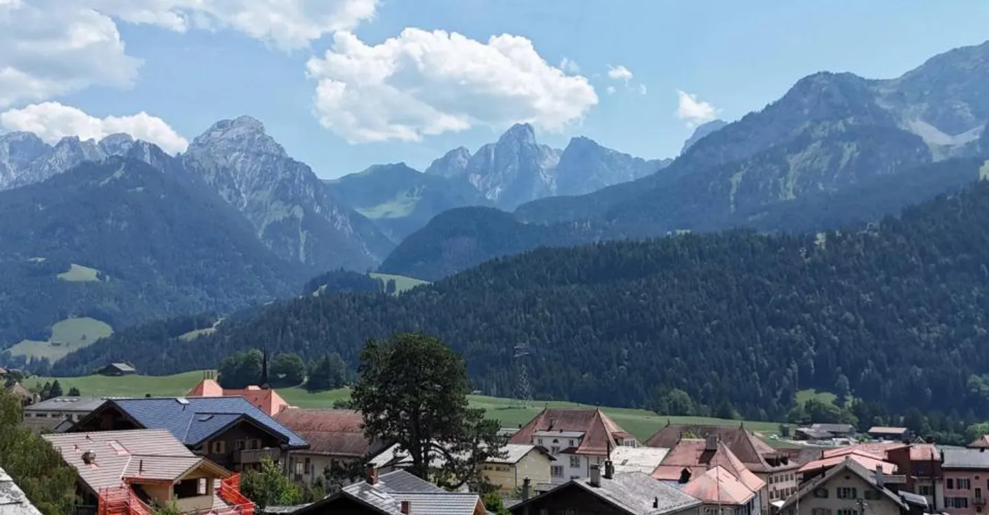 Appartamento di carattere di 7 locali nel cuore di Château-d'Oex - Foto 11 di 11
