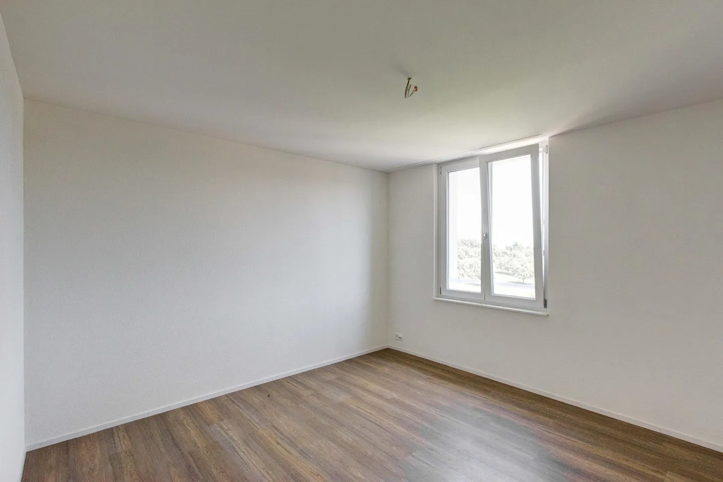 Vivere nel verde - Foto 4 di 8